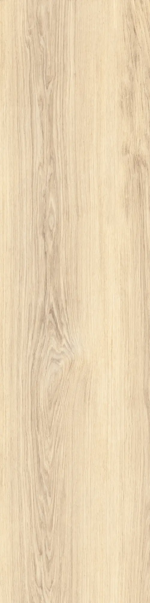 Caesar - Fabula | Robur 30x120