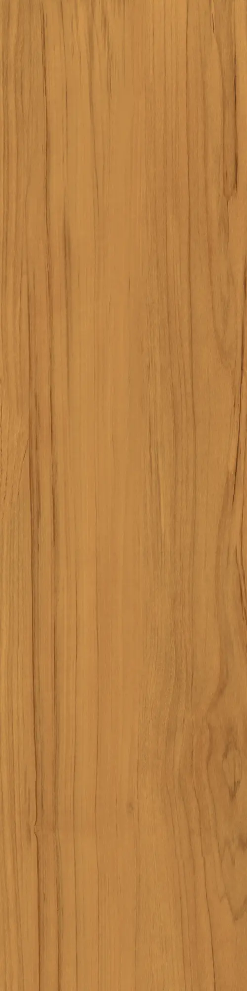 Caesar - Fabula | Theca 30x120