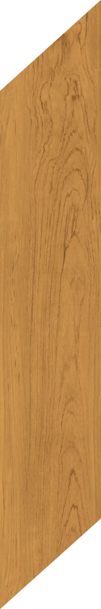 Caesar - Fabula | Theca Chevron 20x100 right