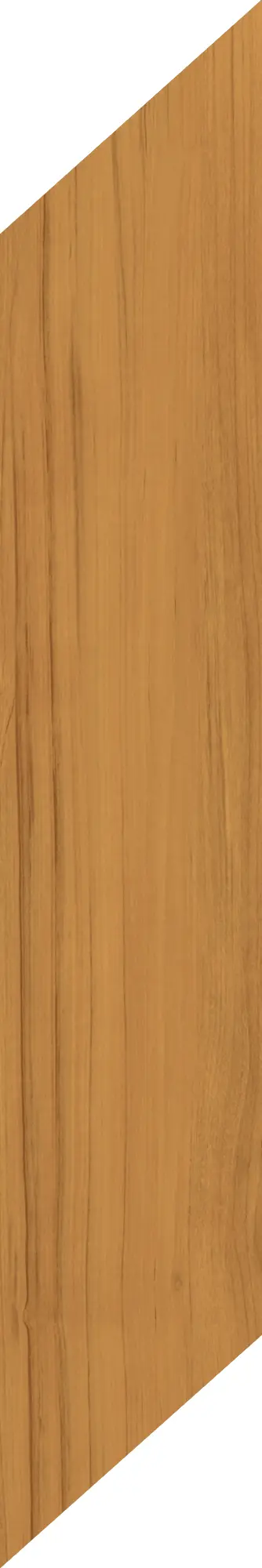 Caesar - Fabula | Theca Chevron 20x100 right