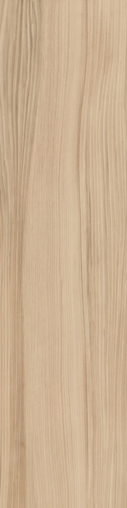 Caesar - Fabula | Ulmus 30x120