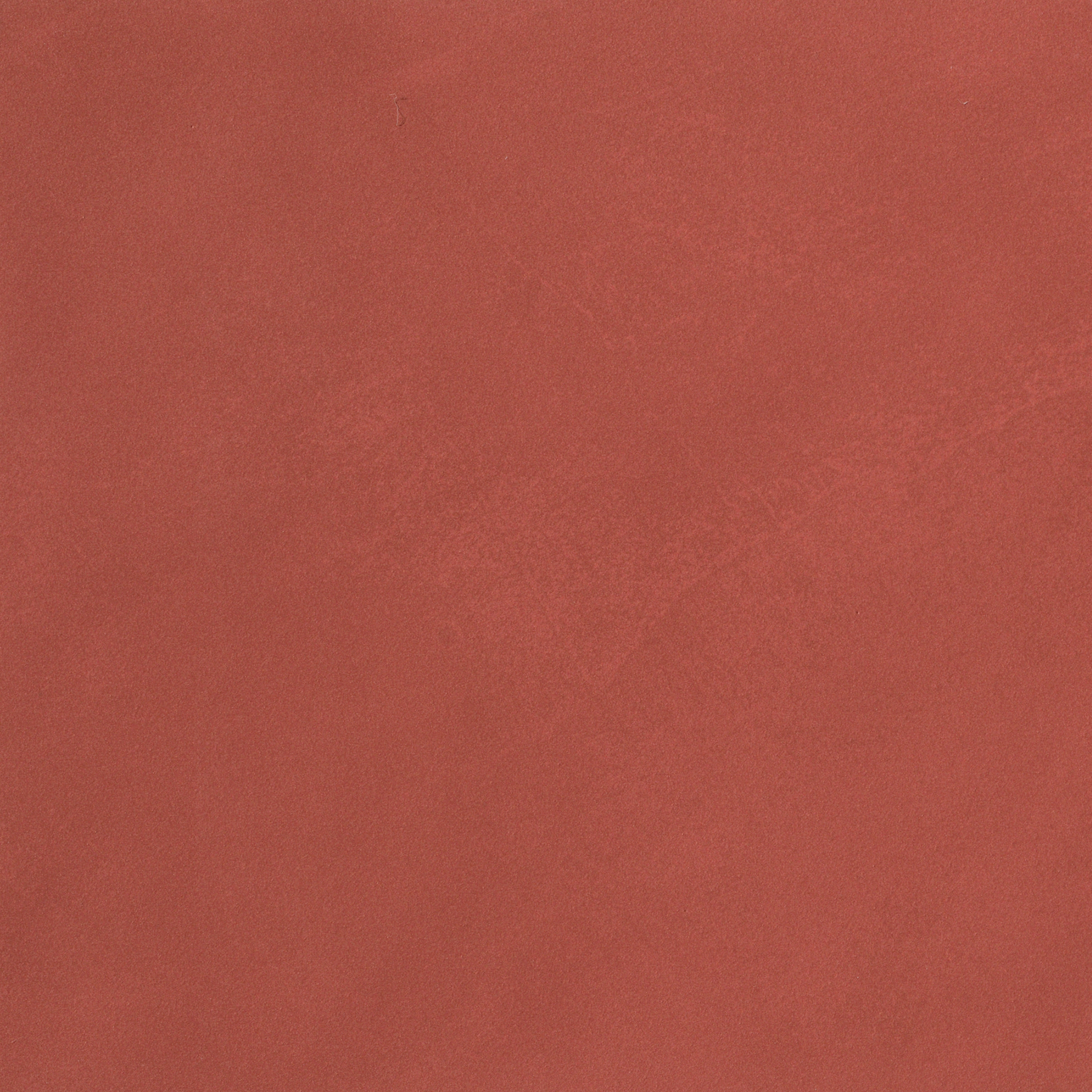 Color Line Marsala