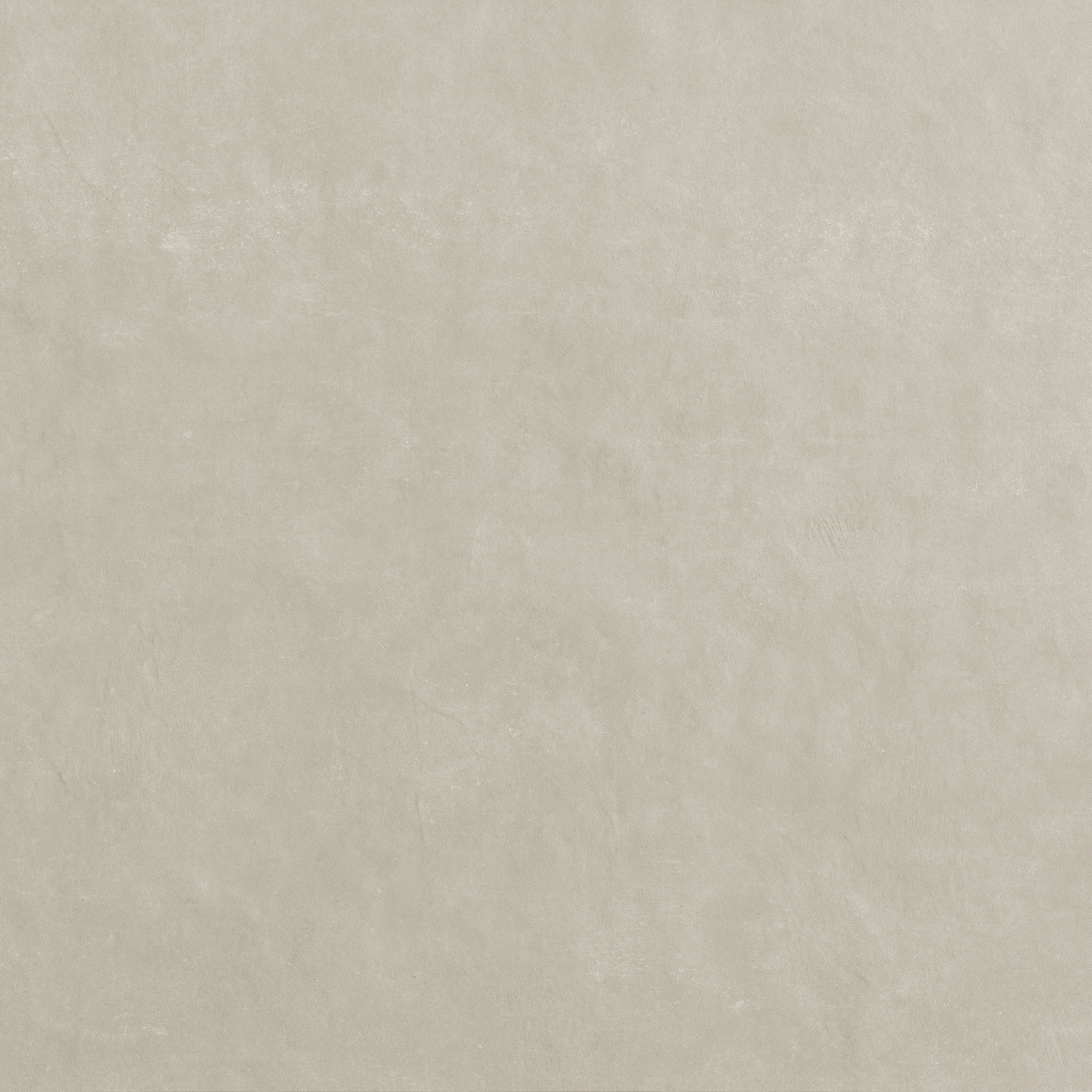 Bloom Grey