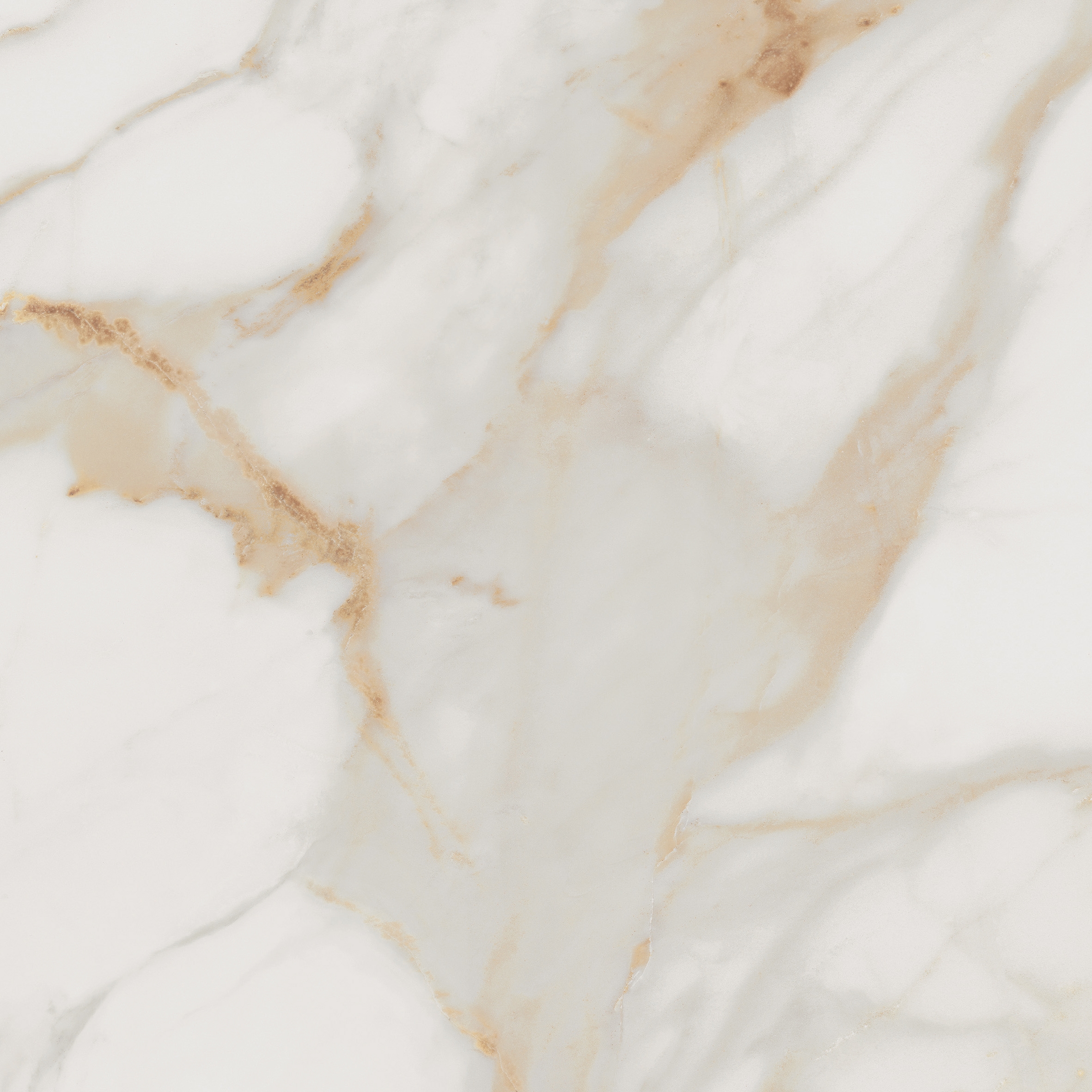 Roma Gold Calacatta Oro Brillante 60X120