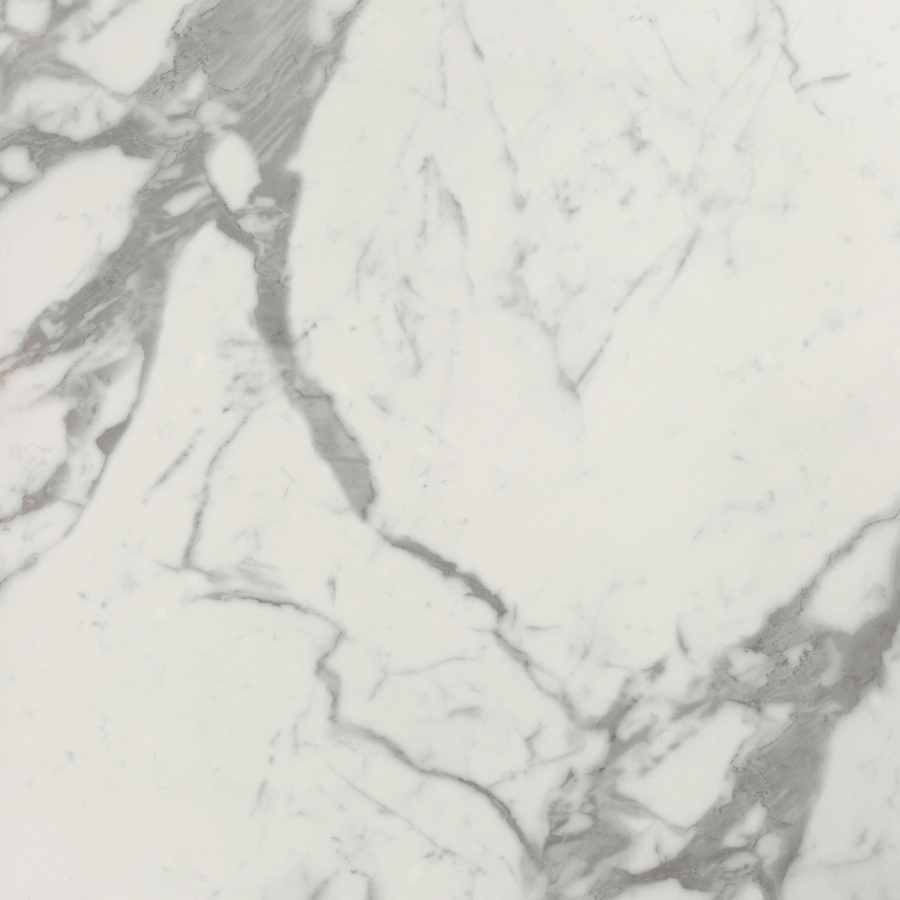 Roma Gold Carrara Superiore Brillante 80X80