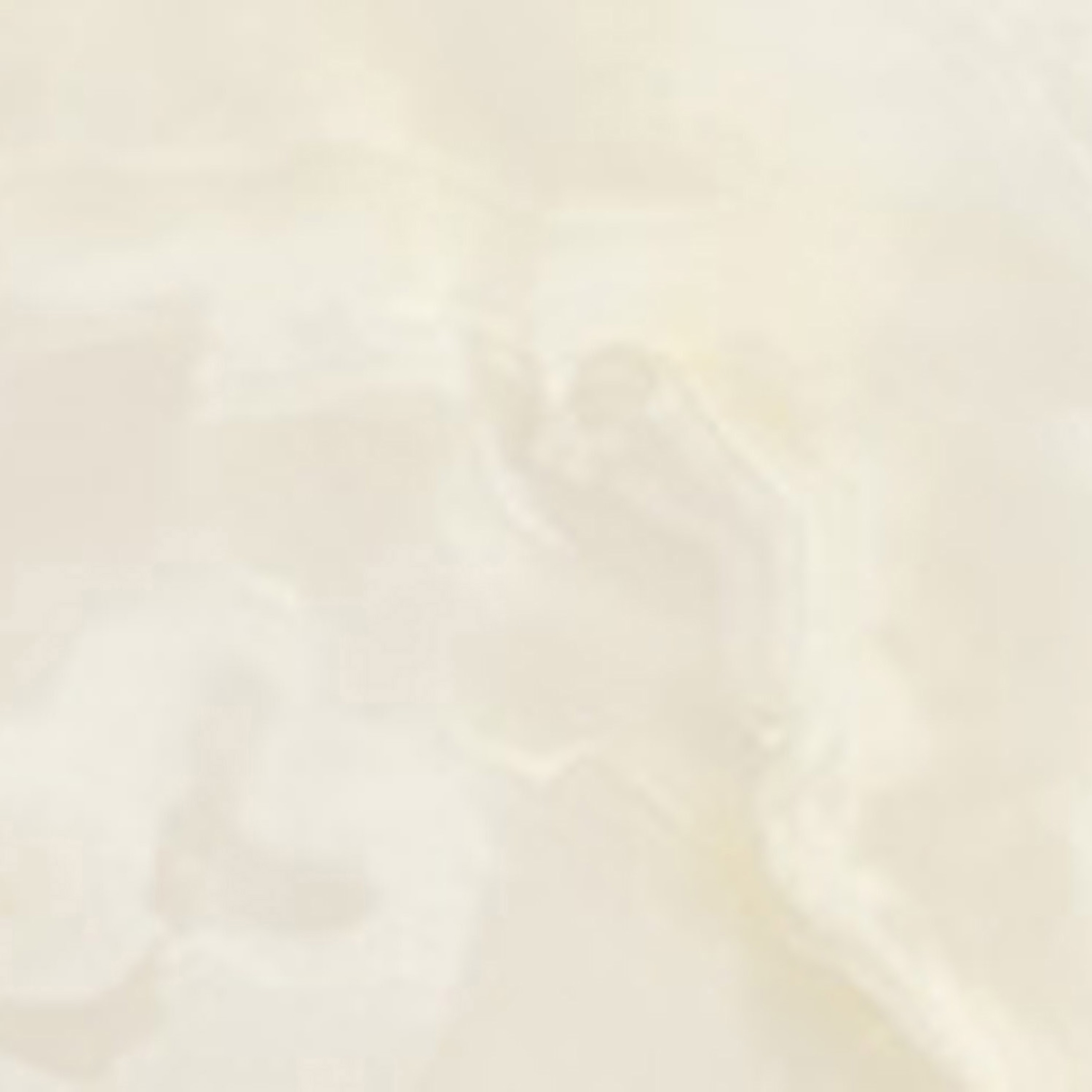 Gemme Bianco Brillante 60X120