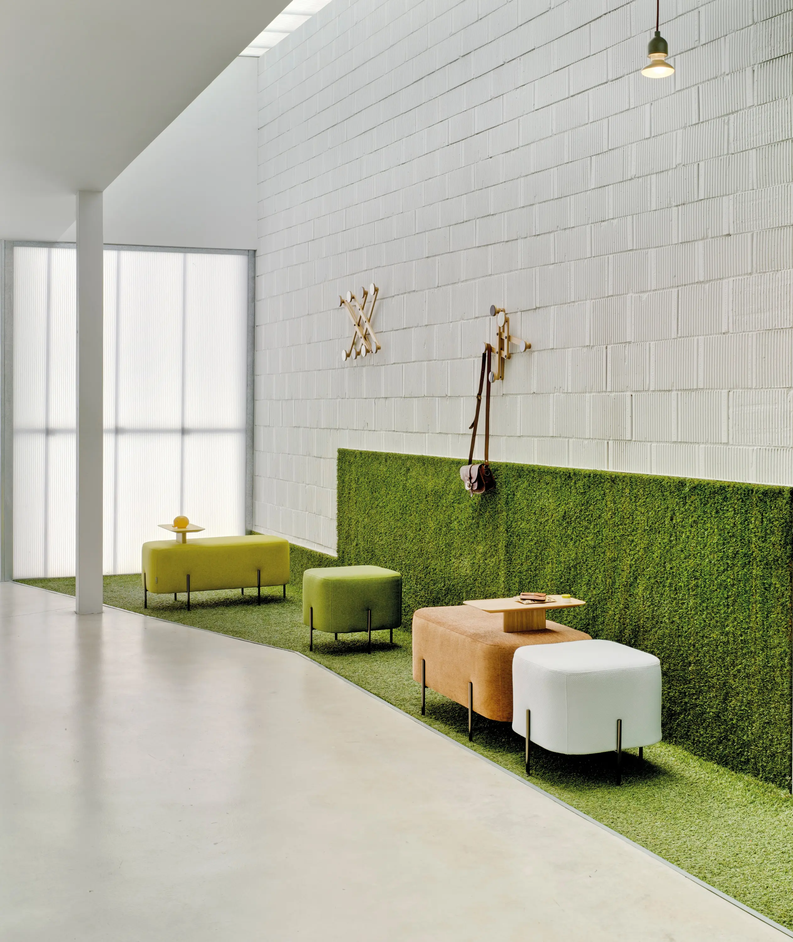 Sancal - Elephant