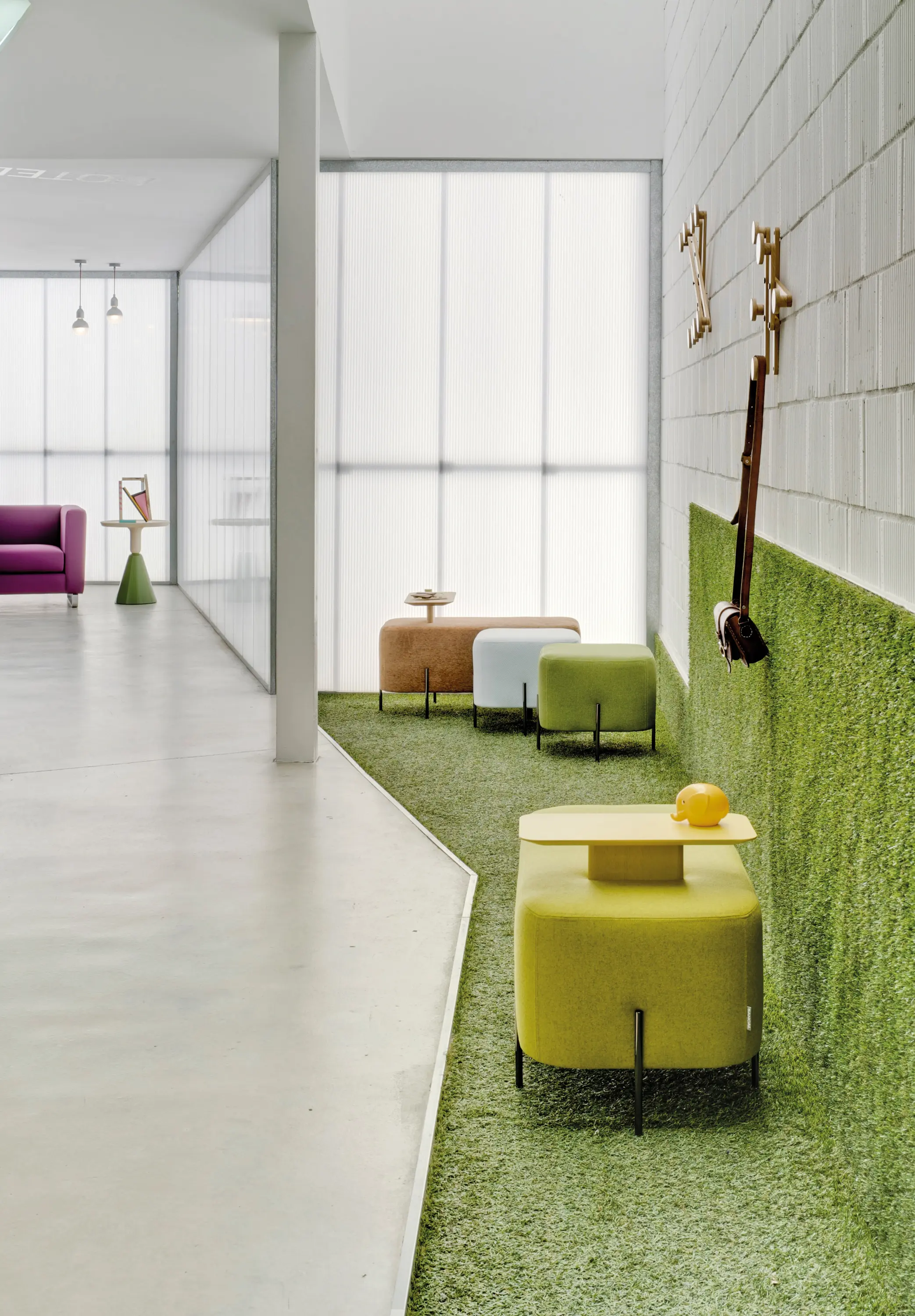 Sancal - Elephant