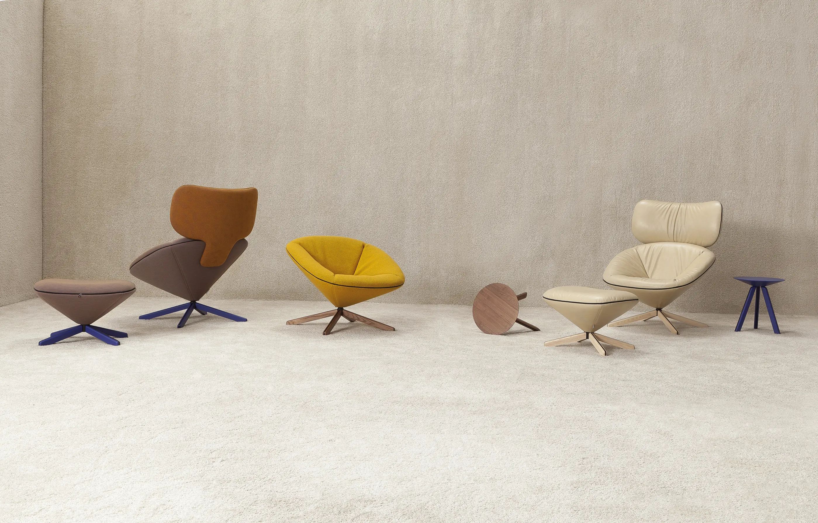 Sancal - Tortuga