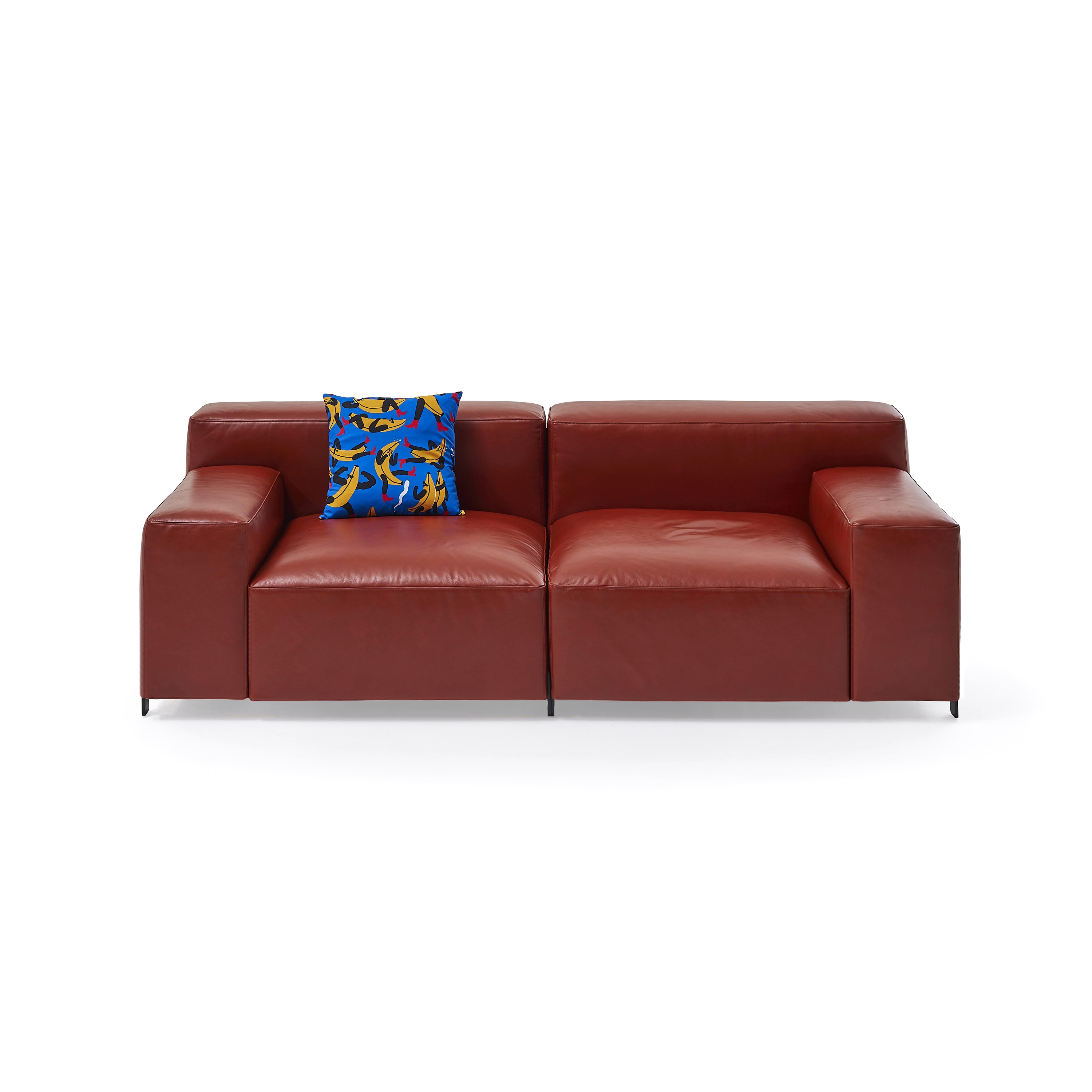 Afficher le produit Mousse du fabricant Sancal