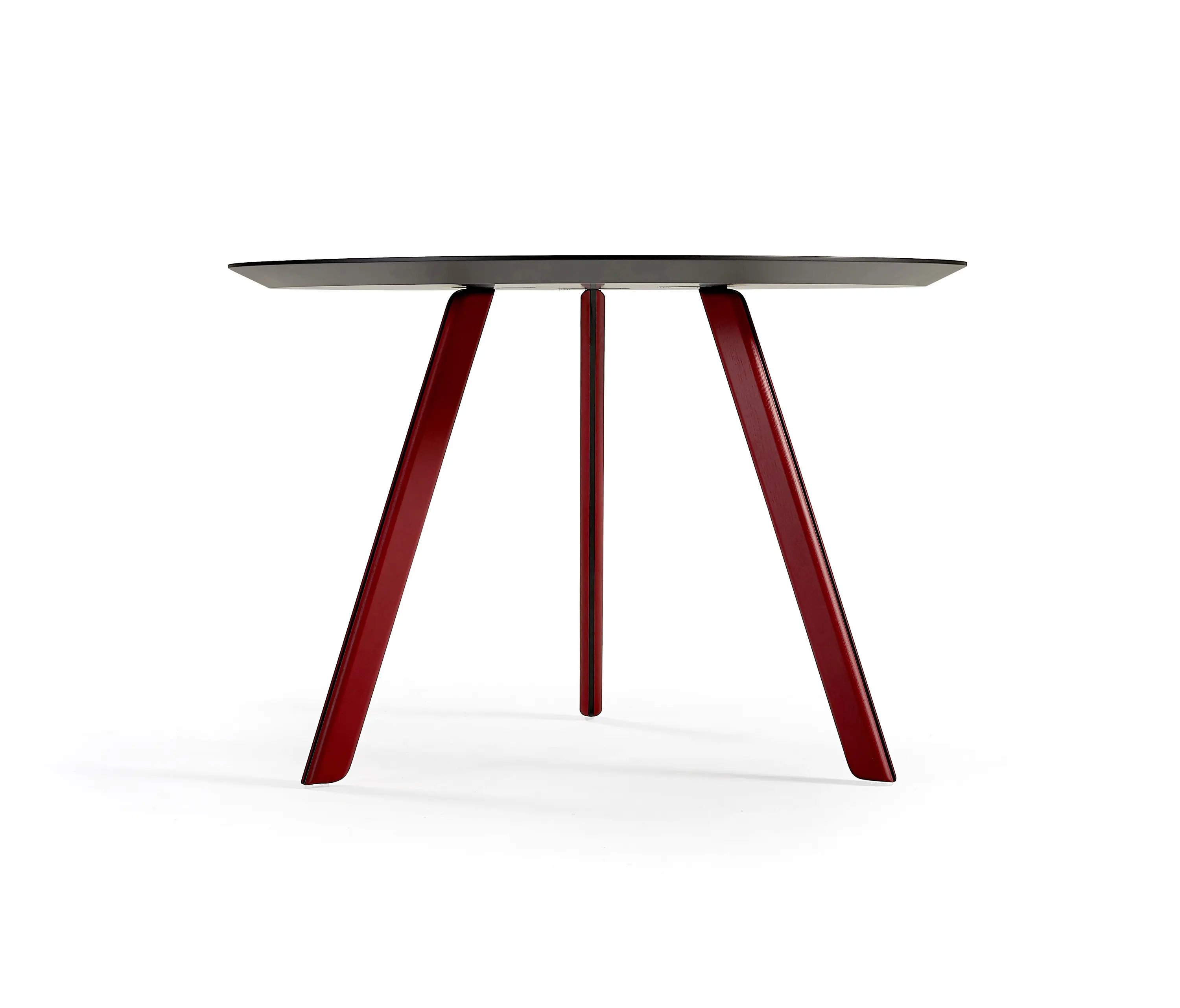 Sancal - Tortuga