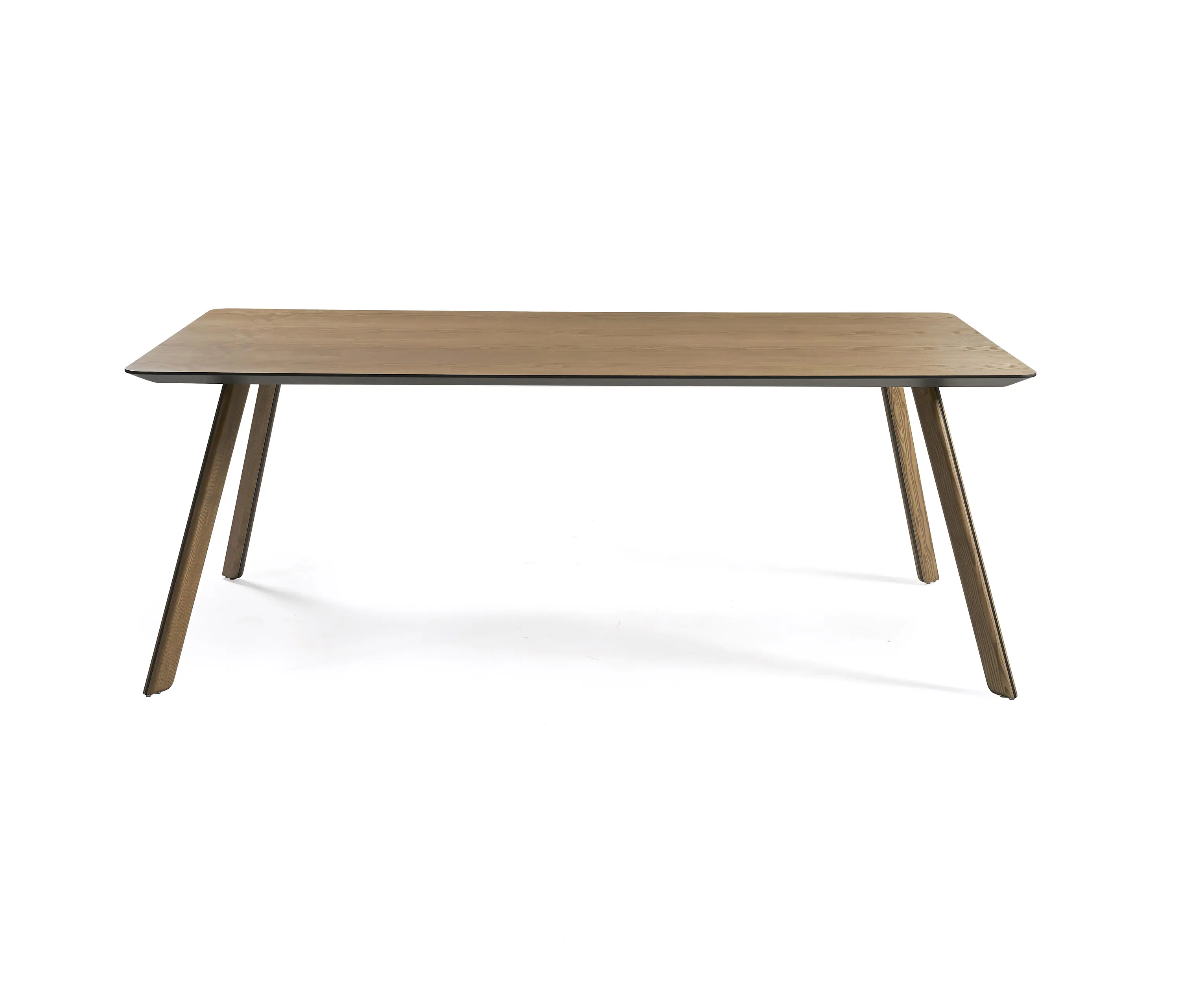 Sancal - Tortuga
