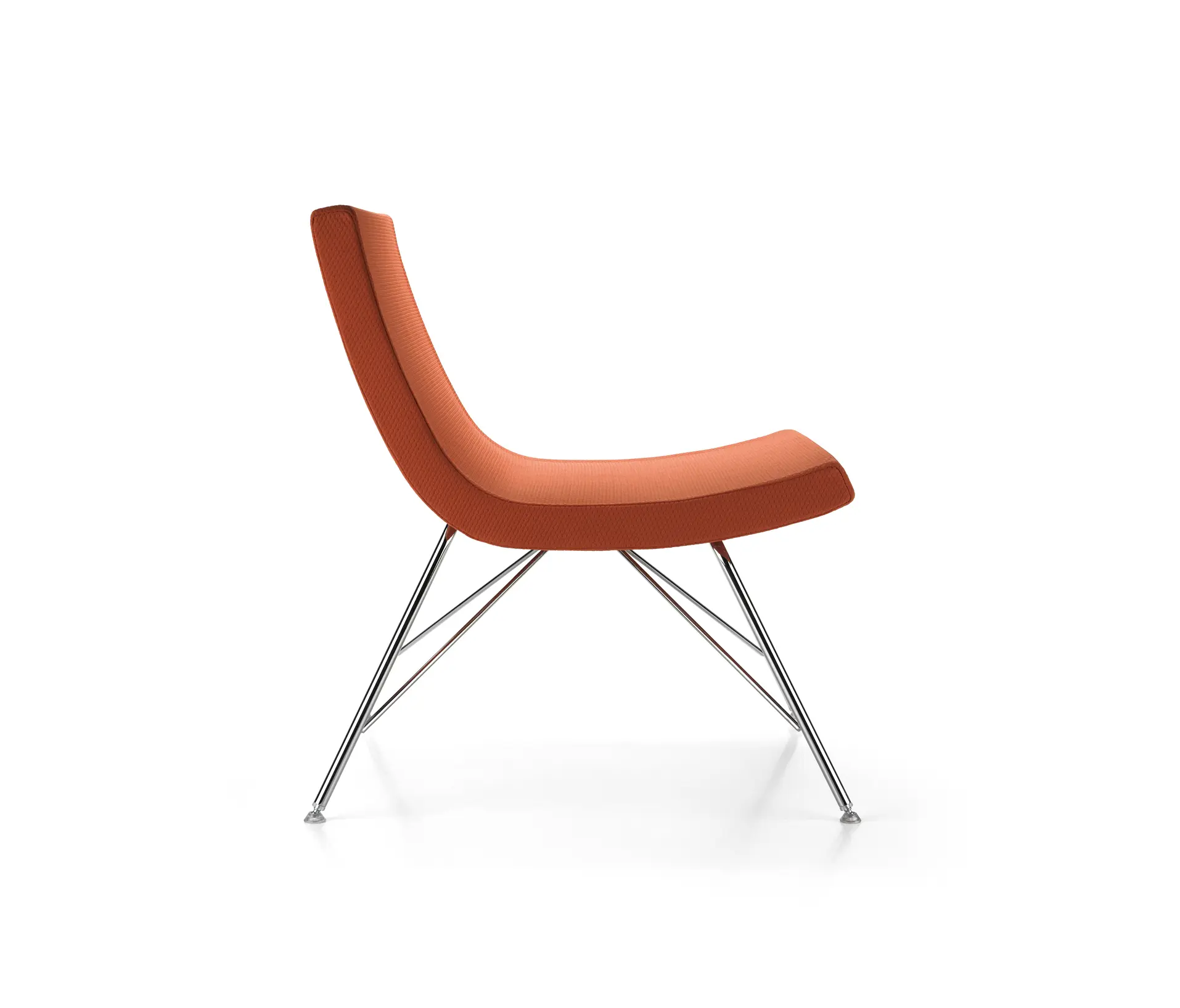 Forma 5 - In