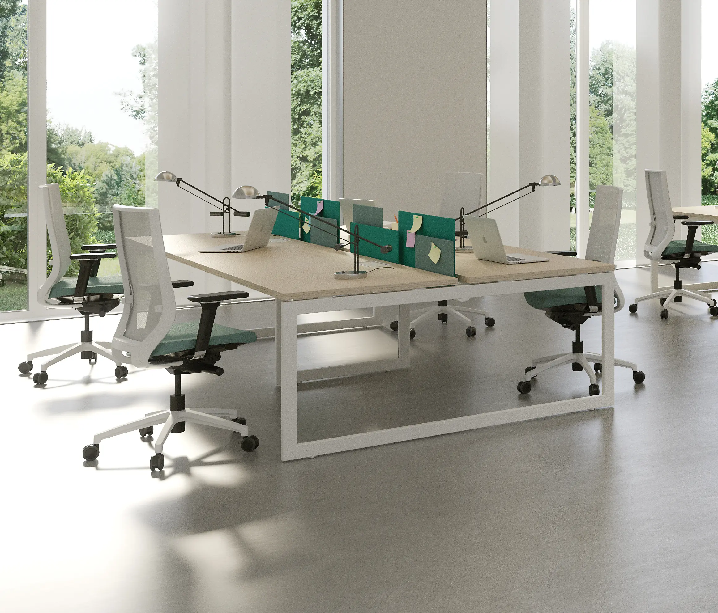 Forma 5 - V30
