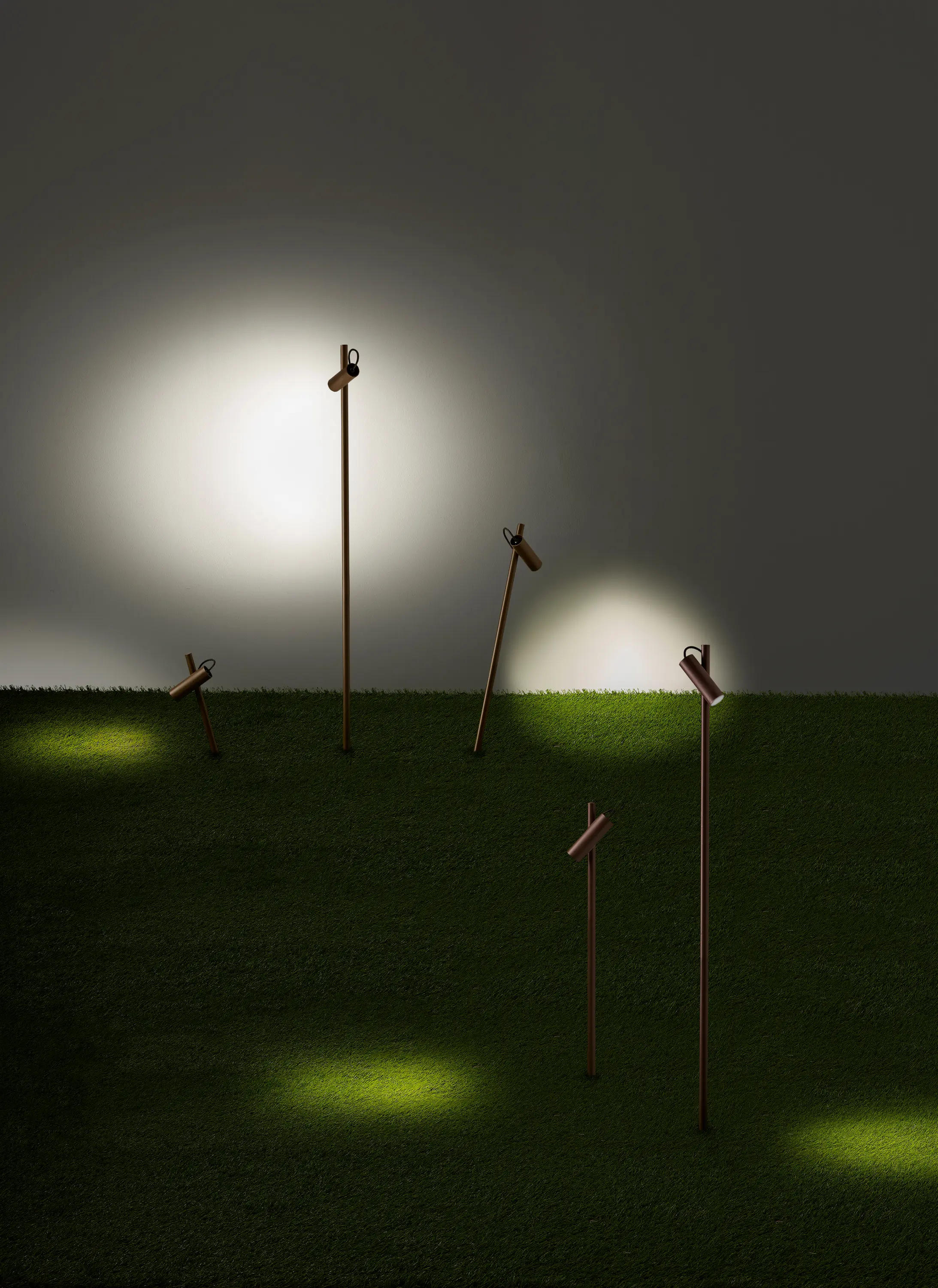 LEDS C4 - Juncus