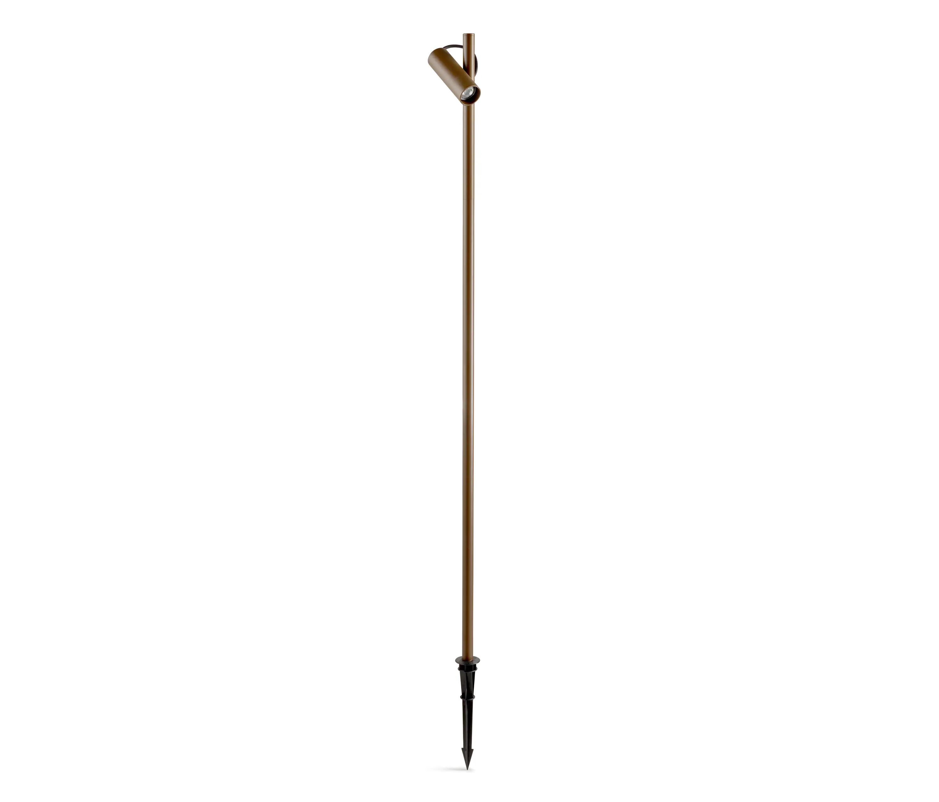 LEDS C4 - Juncus