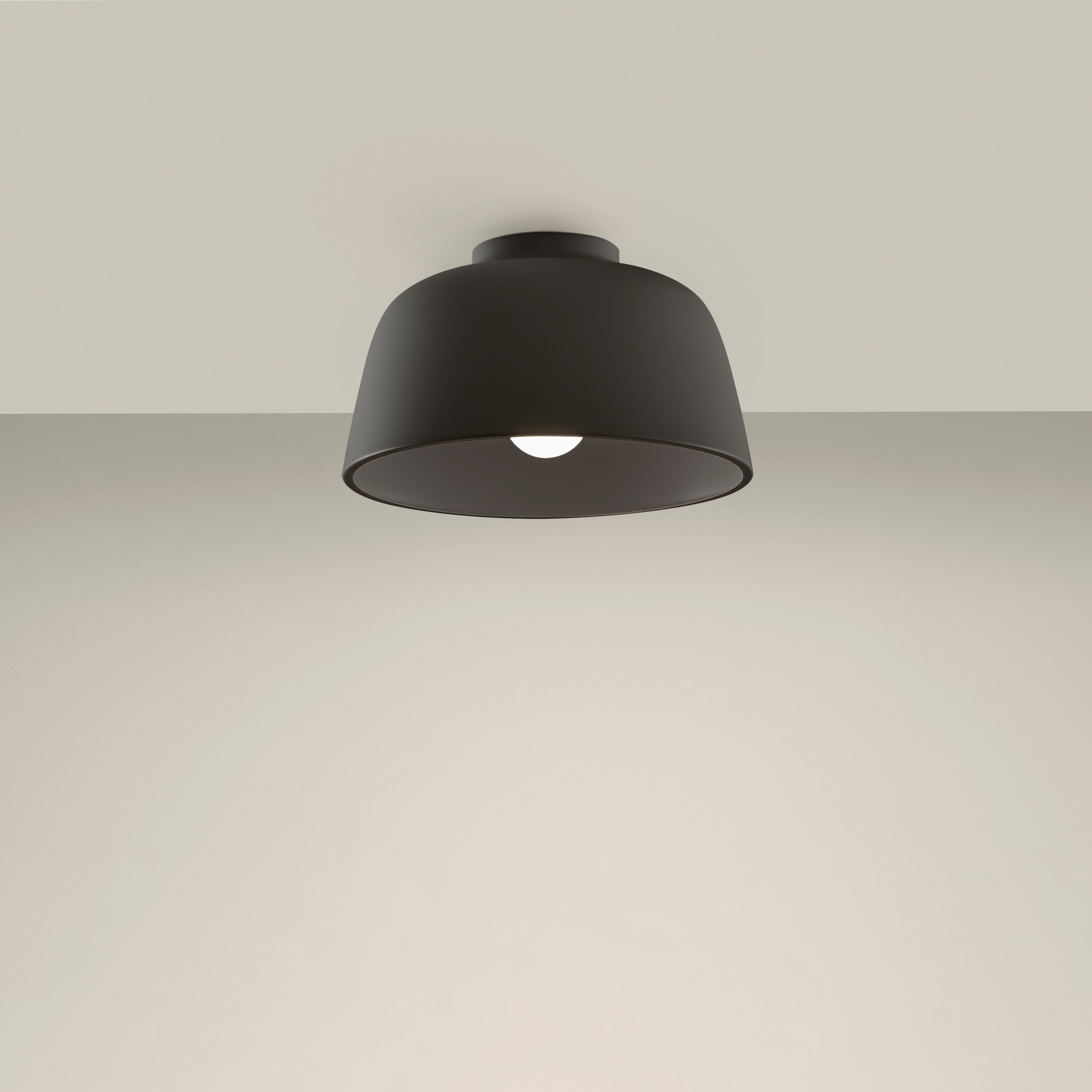 Miso