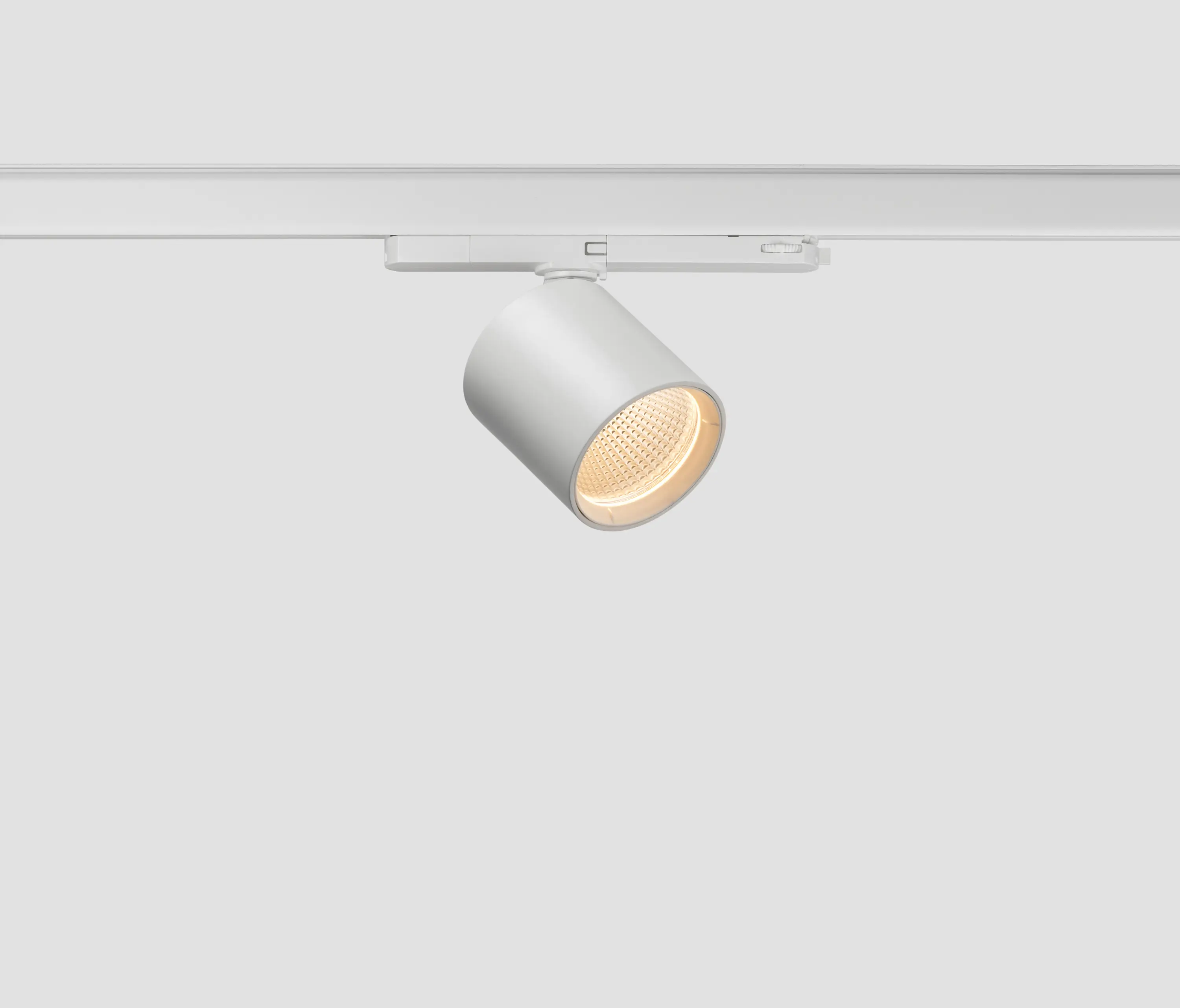 LEDS C4 - Tak