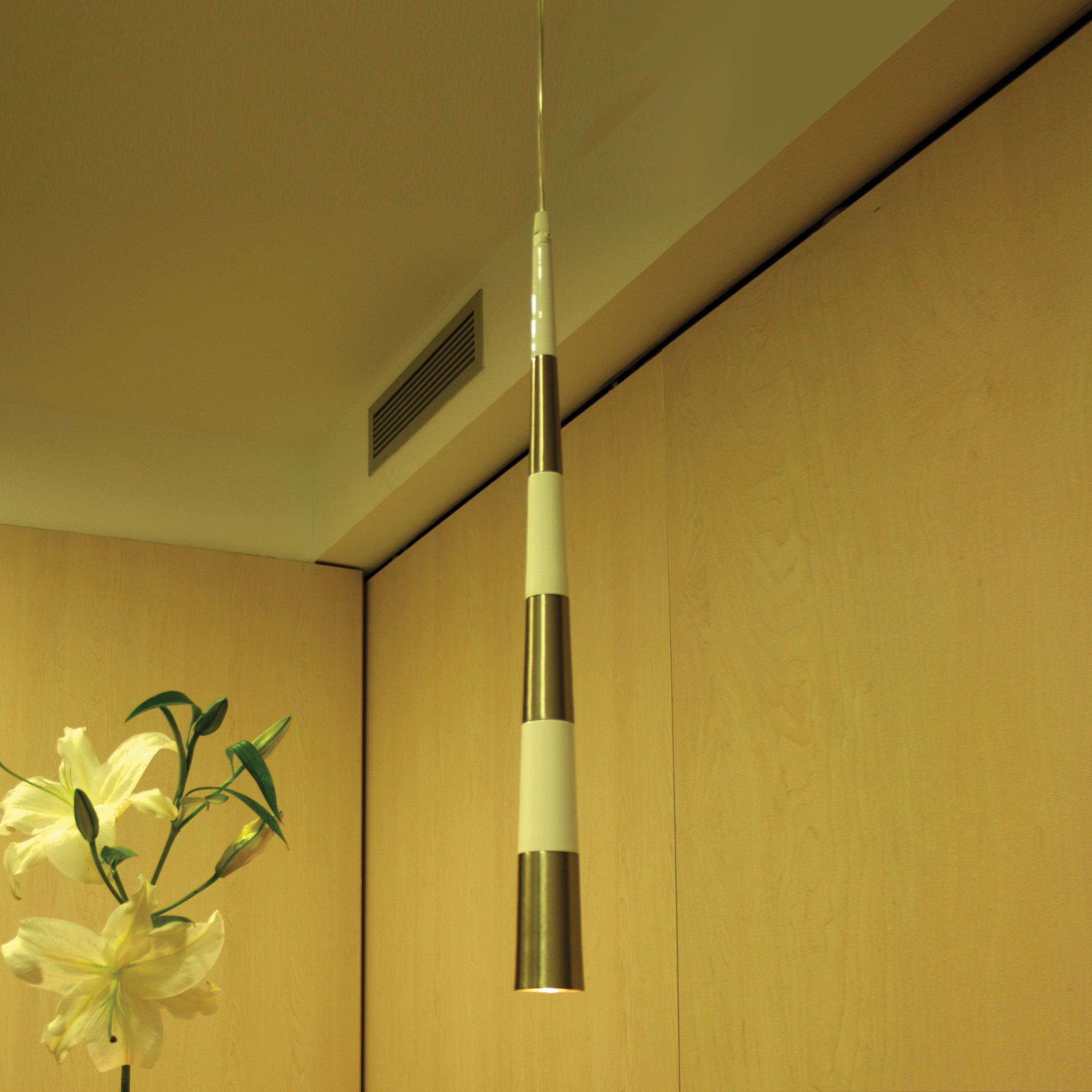 Tokyo S1 Suspension