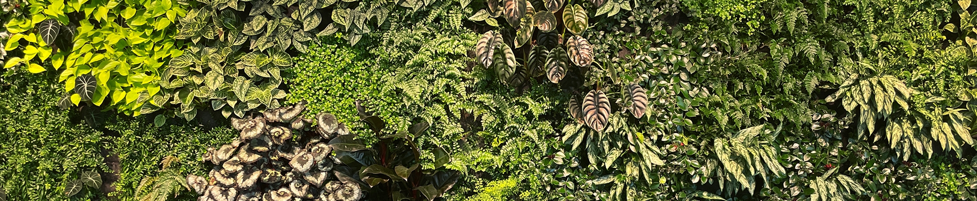 Discover the world of manufacturer Greenworks