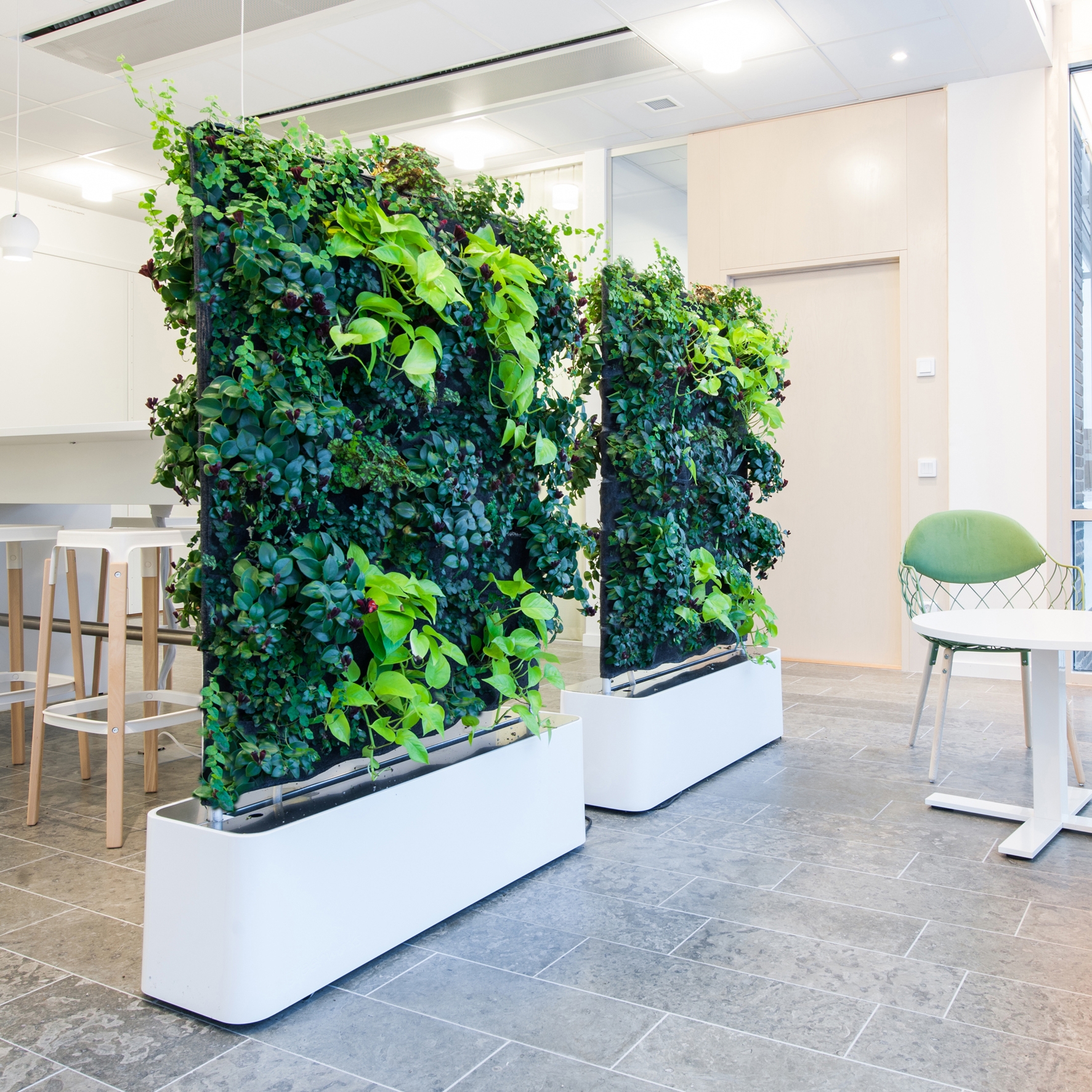 Display product Moving Hedge from manufacturer Greenworks