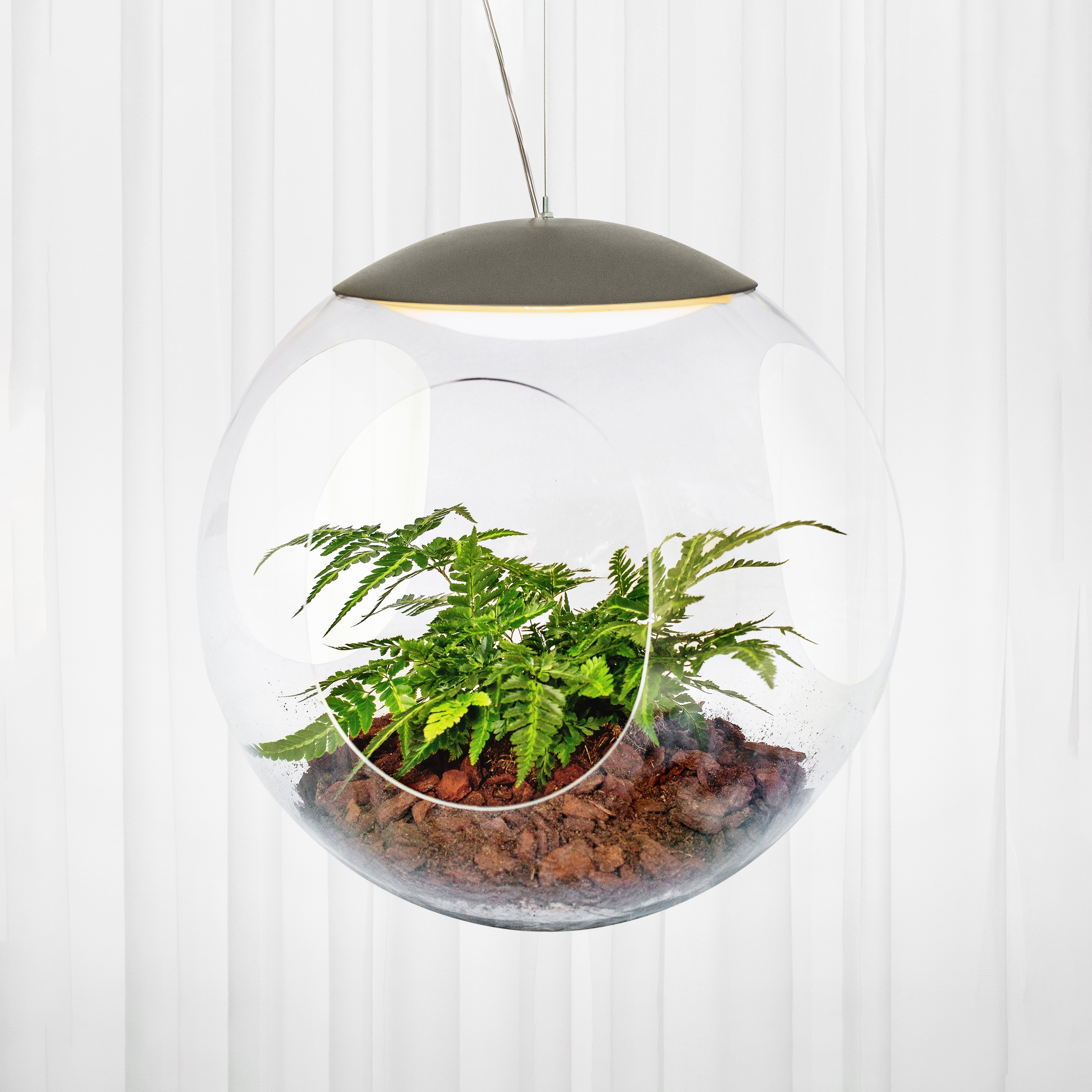 Display product Babylone clear from manufacturer Greenworks