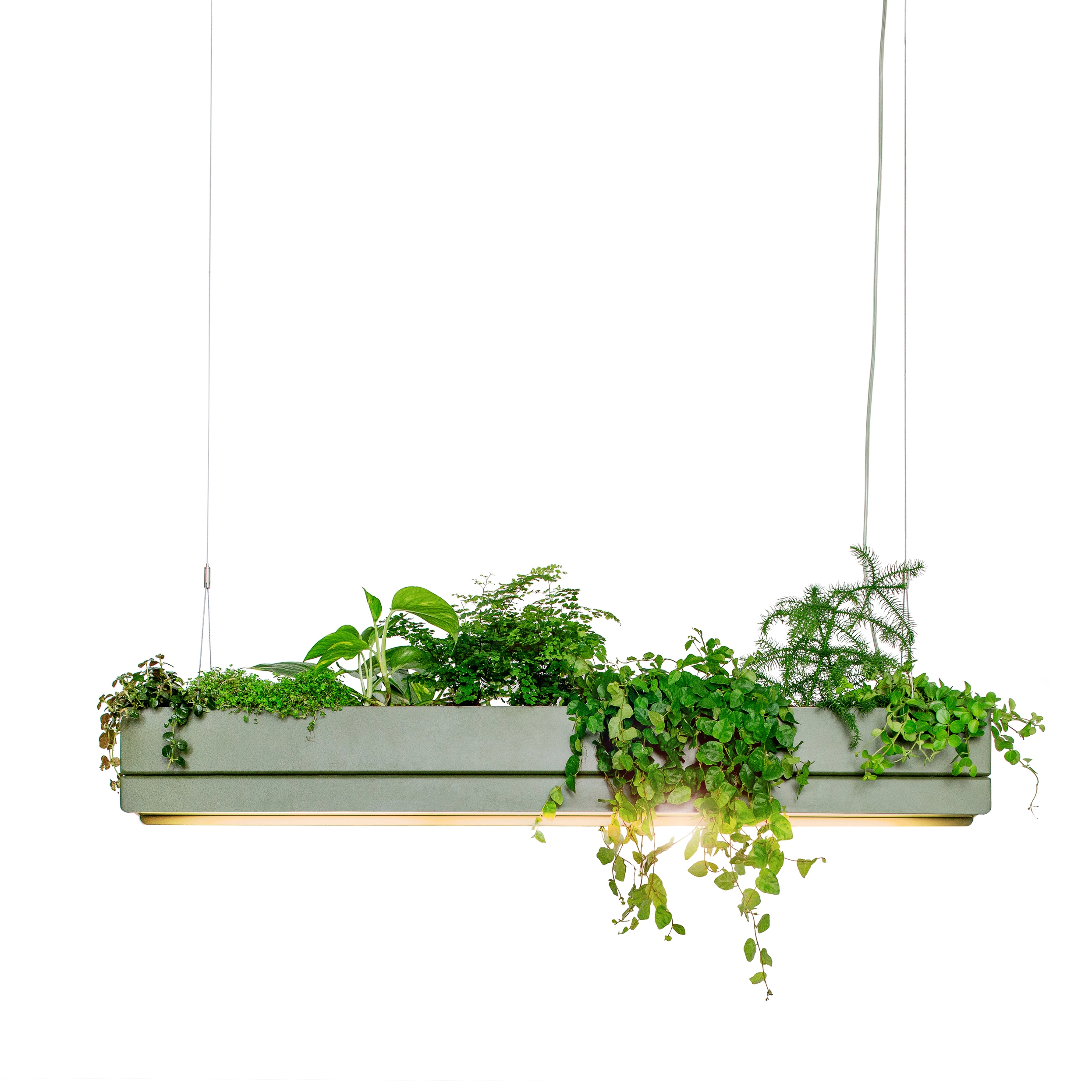 Produkt Bridge des Herstellers Greenworks anzeigen