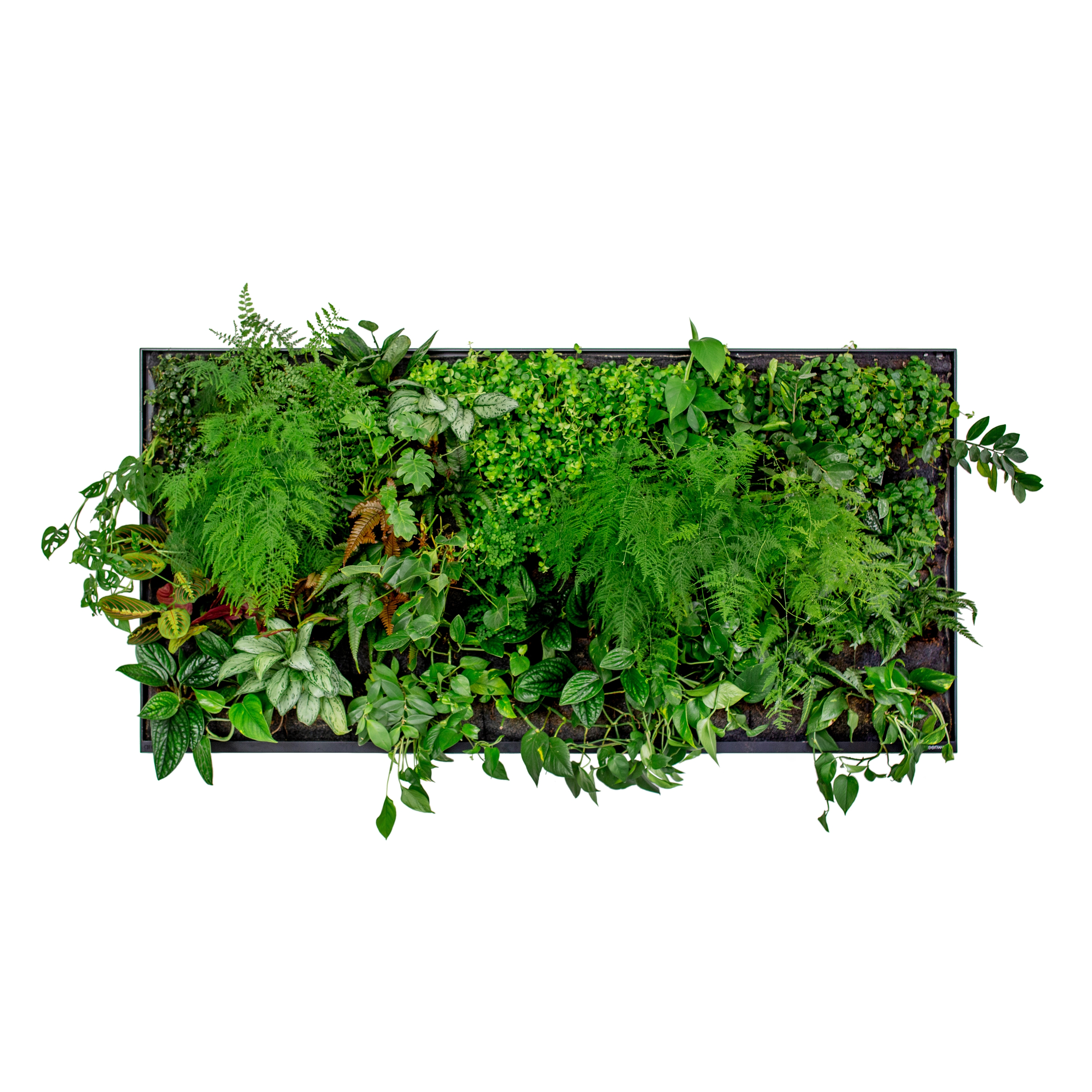 Display product 2M2 Green Screen from manufacturer Greenworks