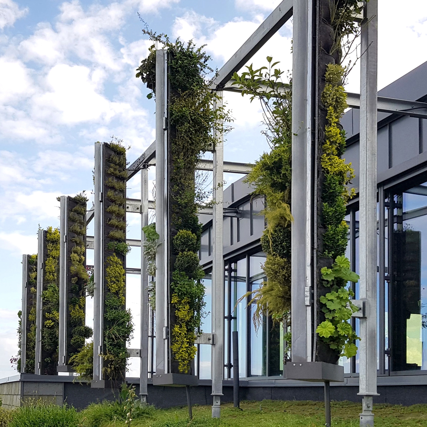 Mostra il prodotto Outdoor Vertical Garden | Eden Hyillie del produttore Greenworks