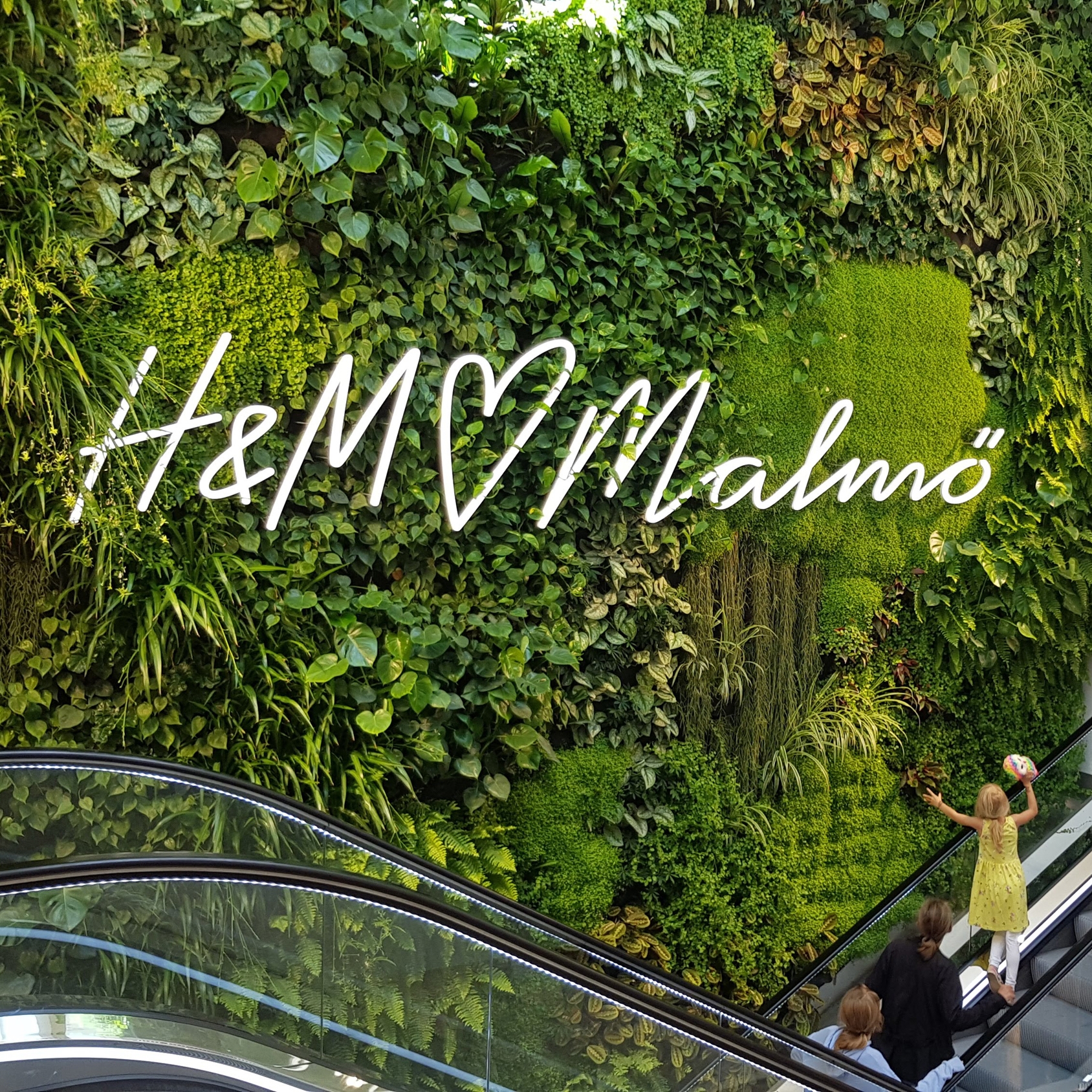 Display product Indoor Vertical Garden | H&M Gustav Adolfs Torg, Malmö from manufacturer Greenworks