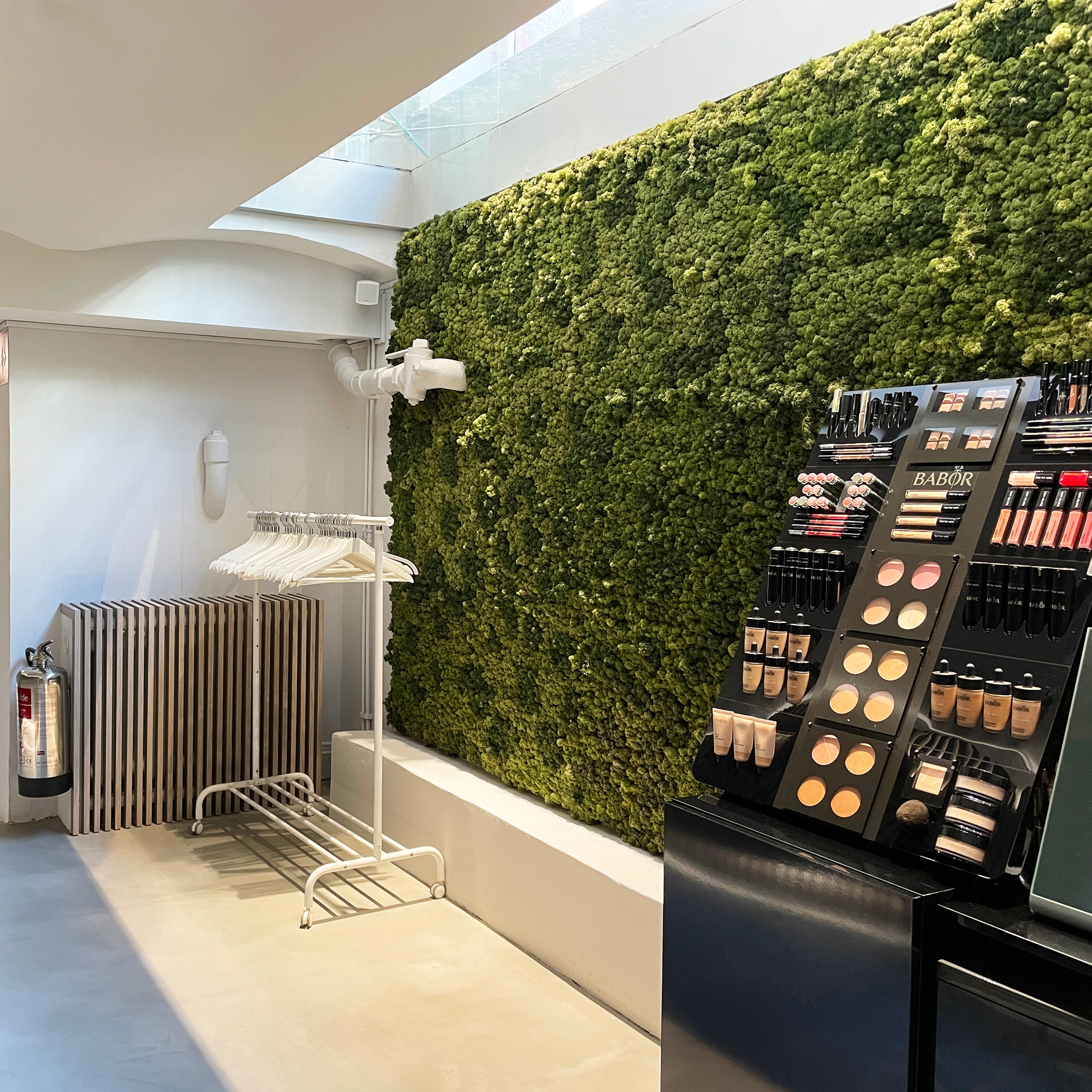 Display product Indoor Moss | Moss wall from manufacturer Greenworks
