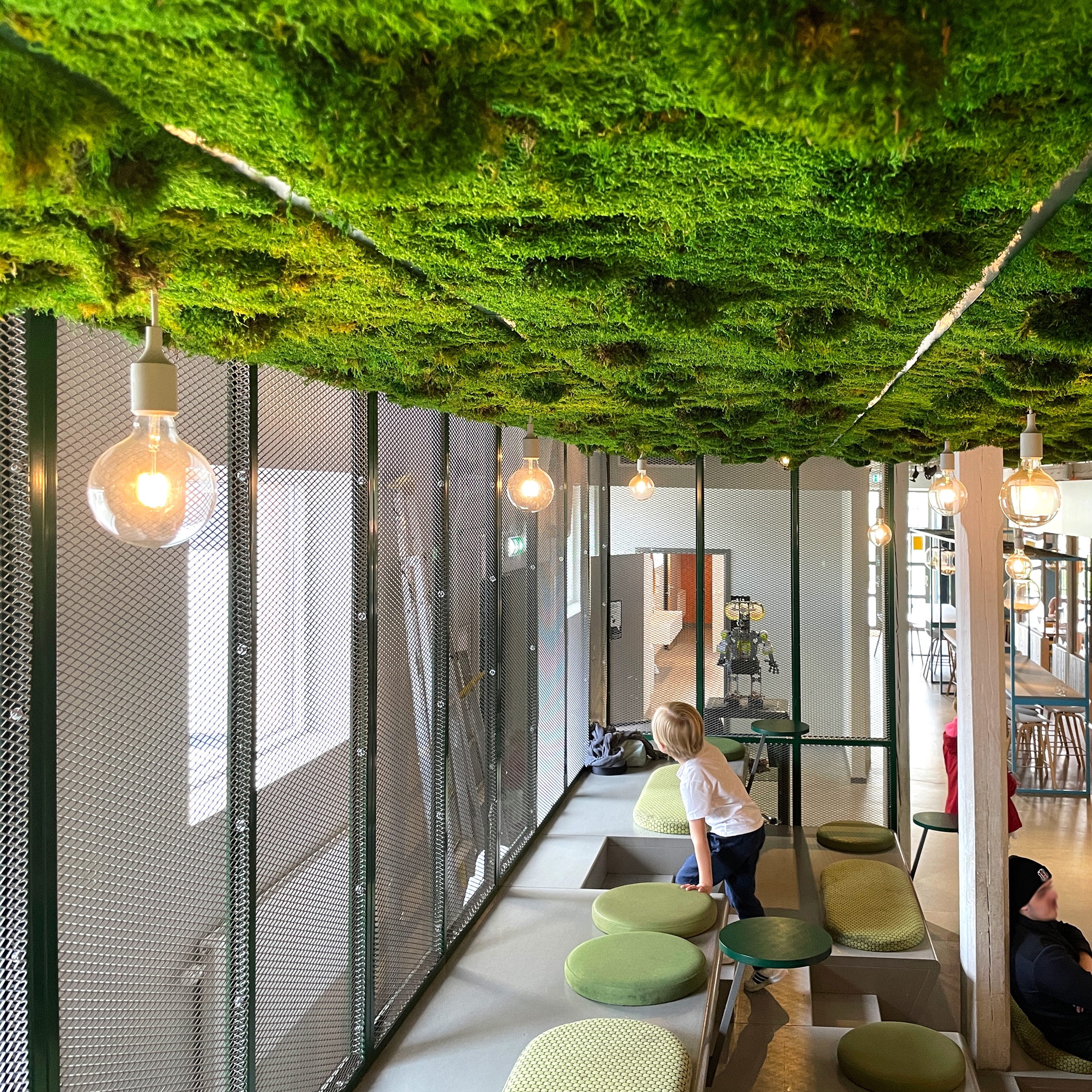 Display product Indoor Moss | Moss ceiling from manufacturer Greenworks