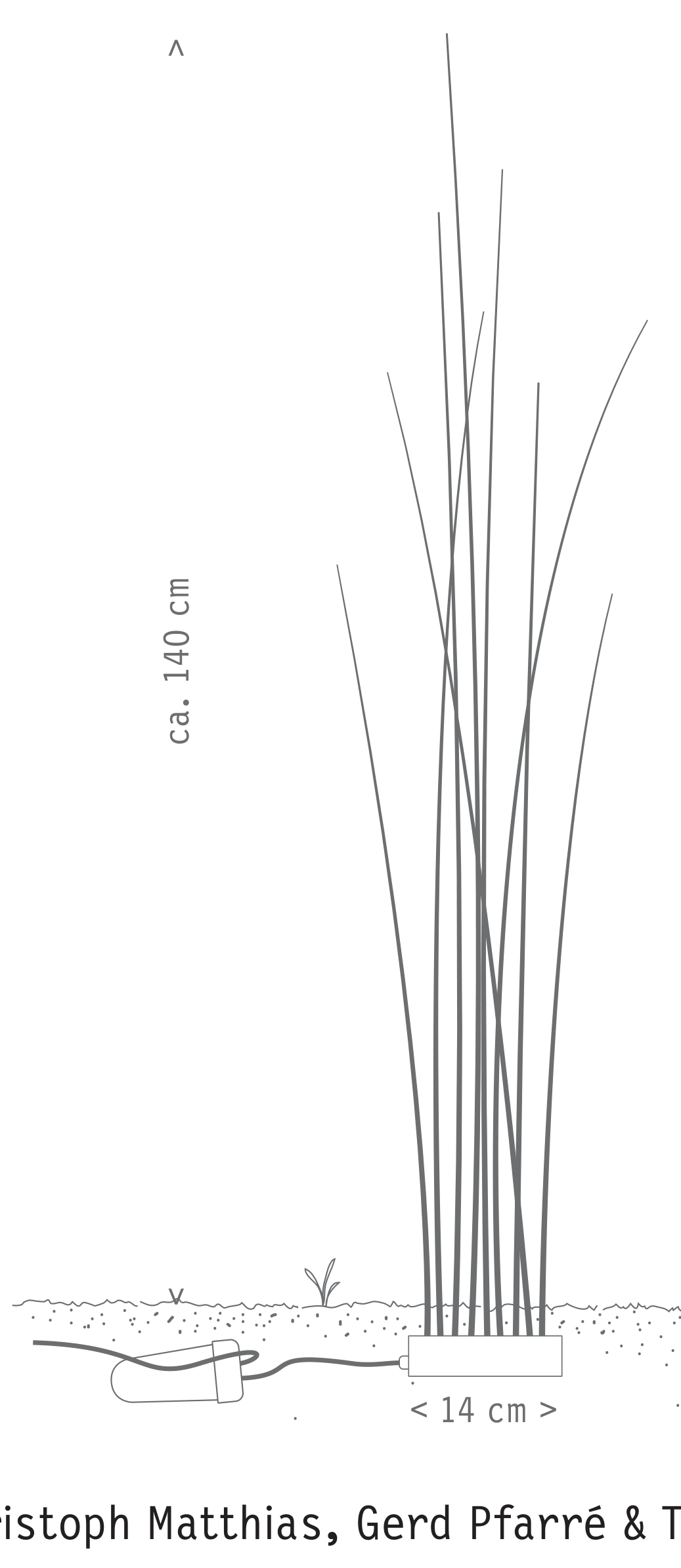 Thumbnail for image 2