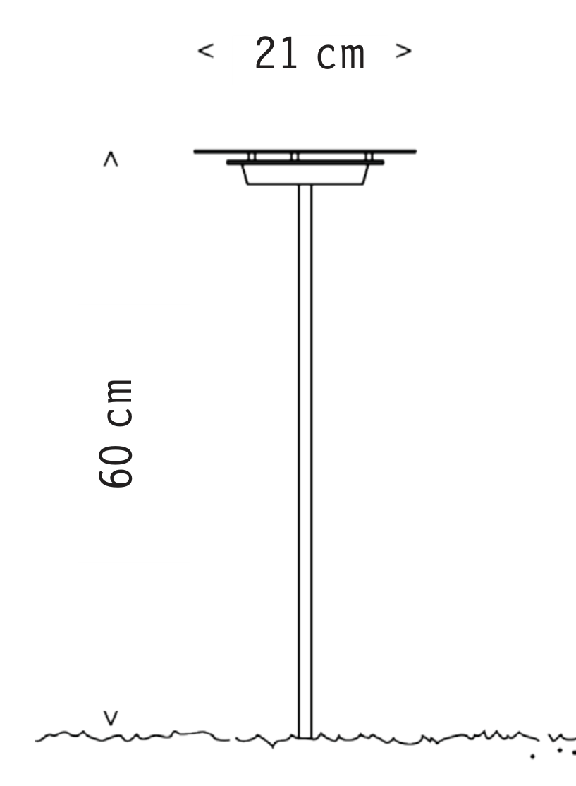 Thumbnail for image 3