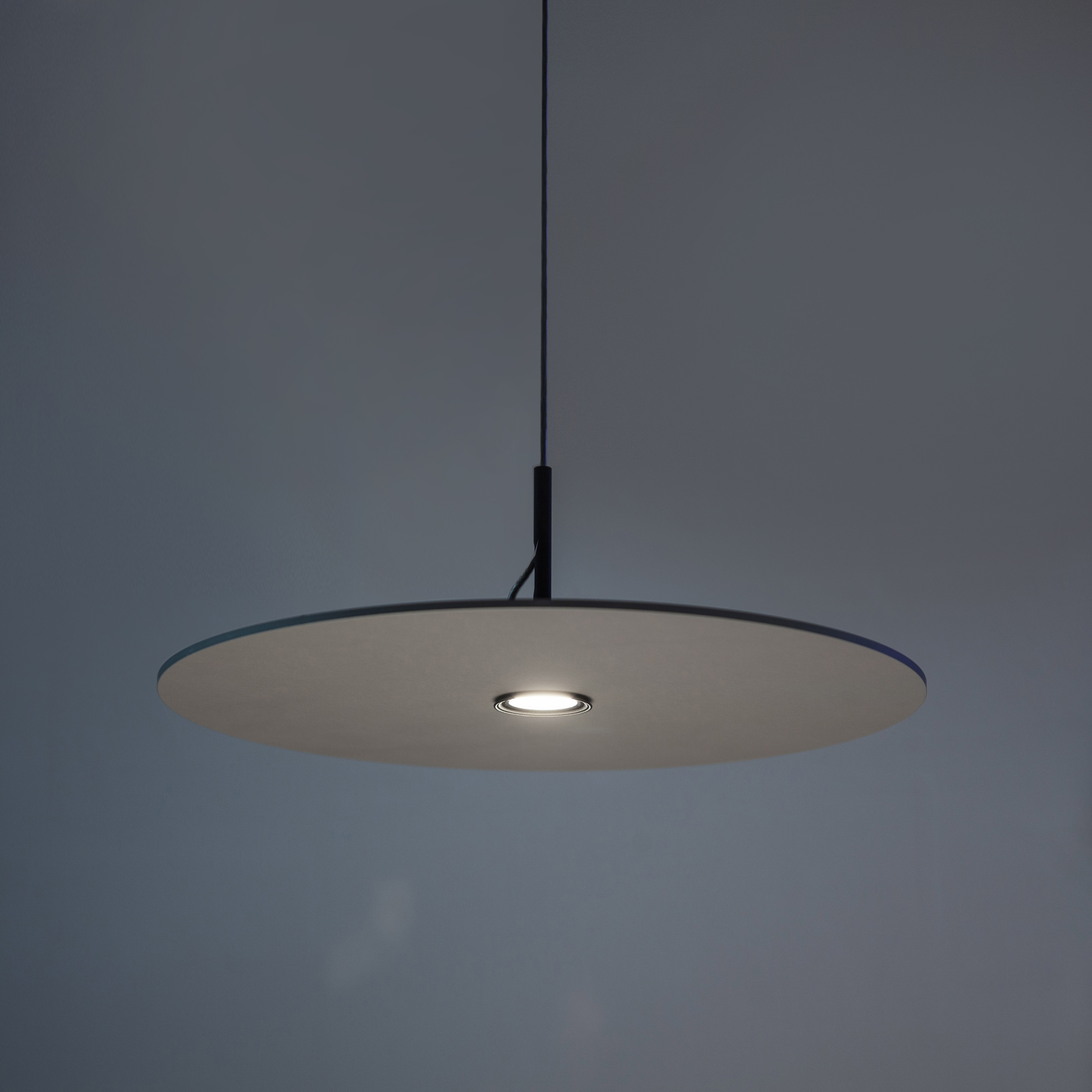 Ledl silver