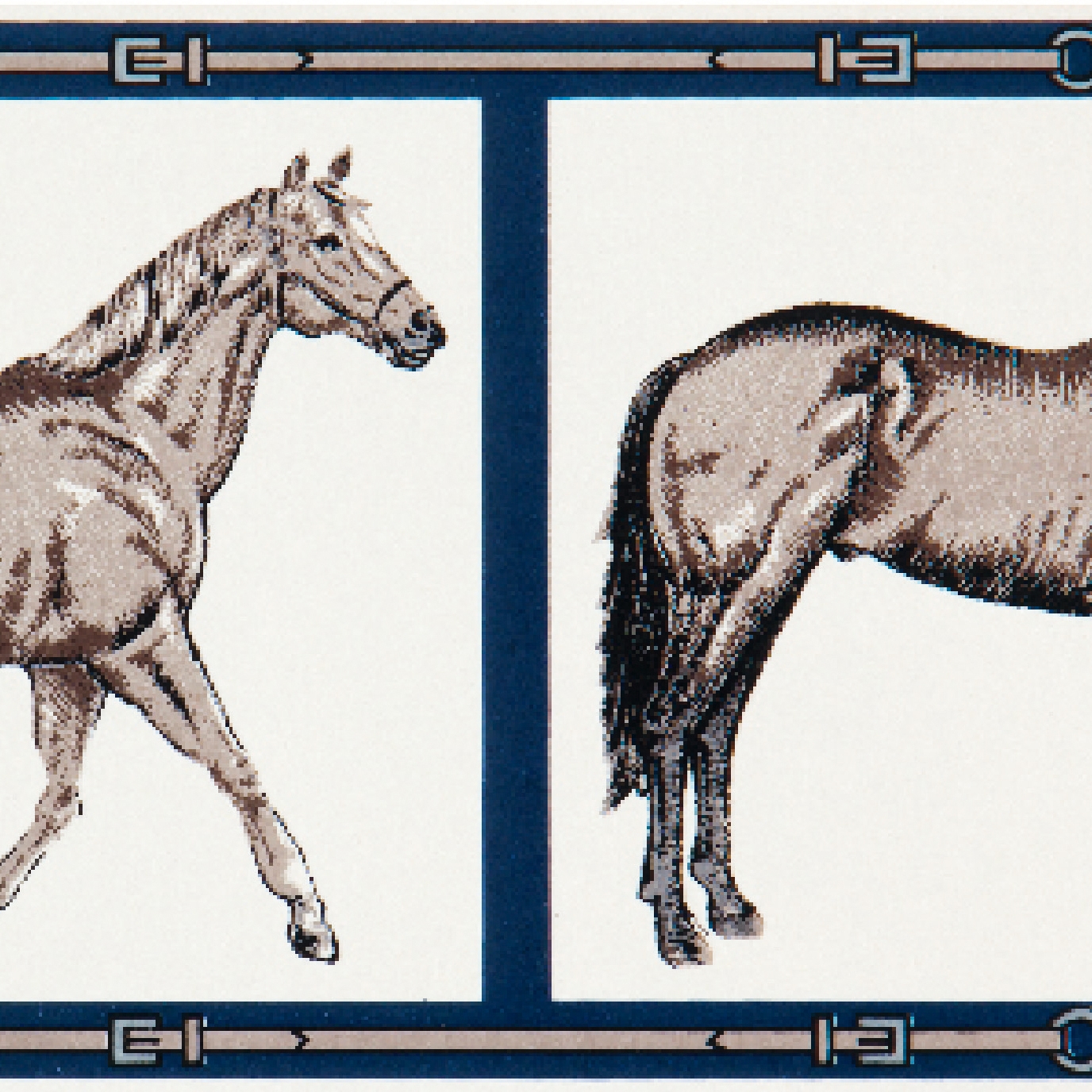 Display product Grand Elegance country life horses A green from manufacturer Petracer's Ceramics
