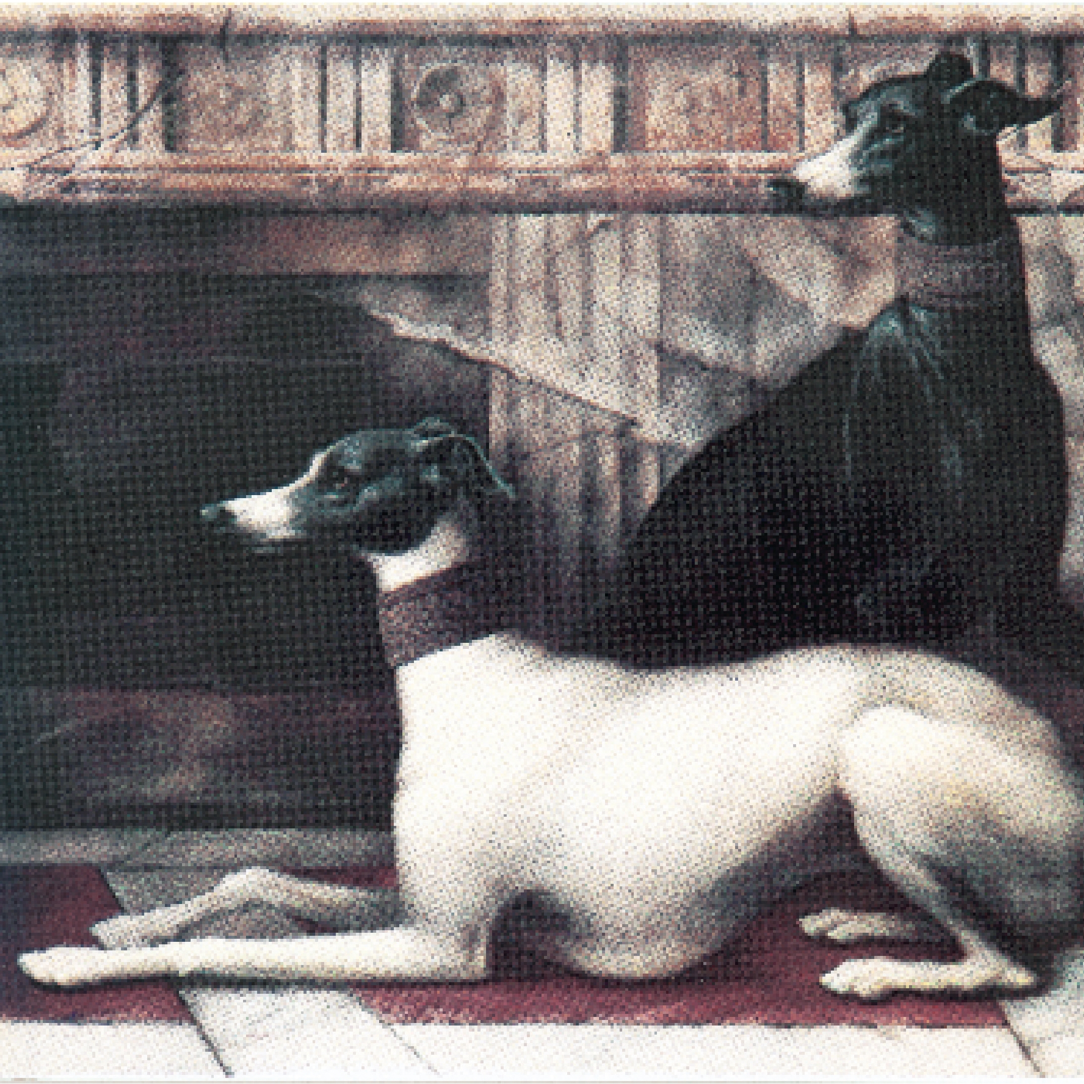 Display product Grand Elegance noblesse B (levrieri) from manufacturer Petracer's Ceramics