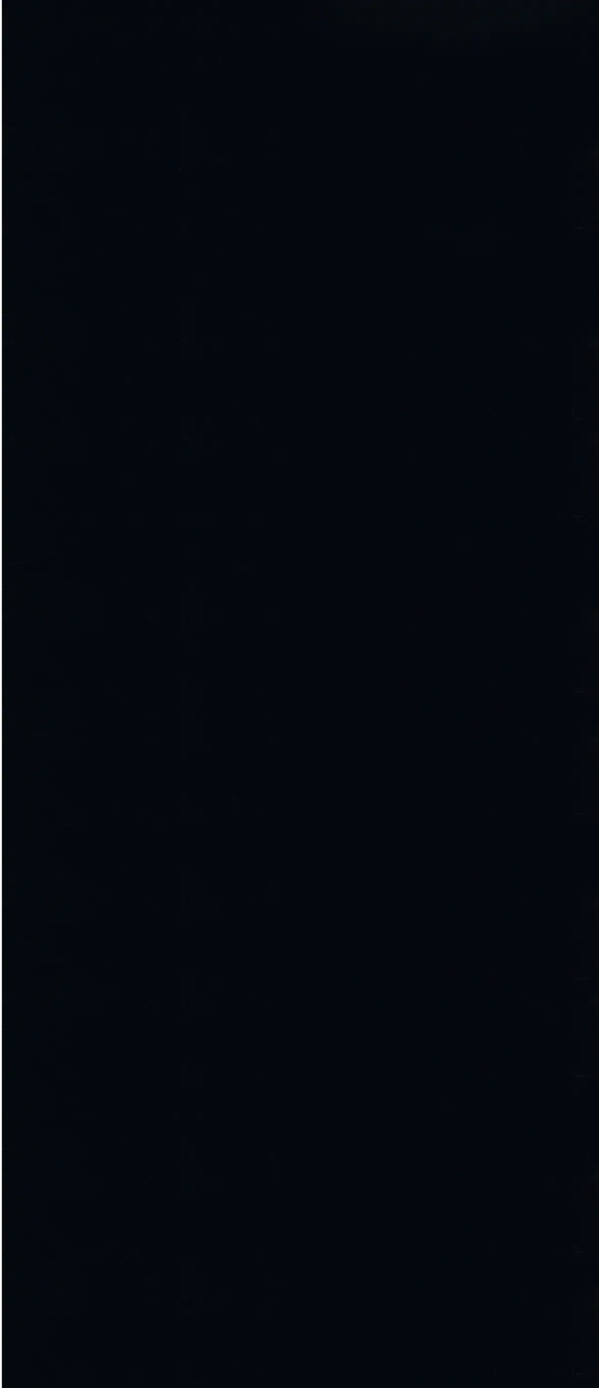 Petracer's Ceramics - Gran Galà nero