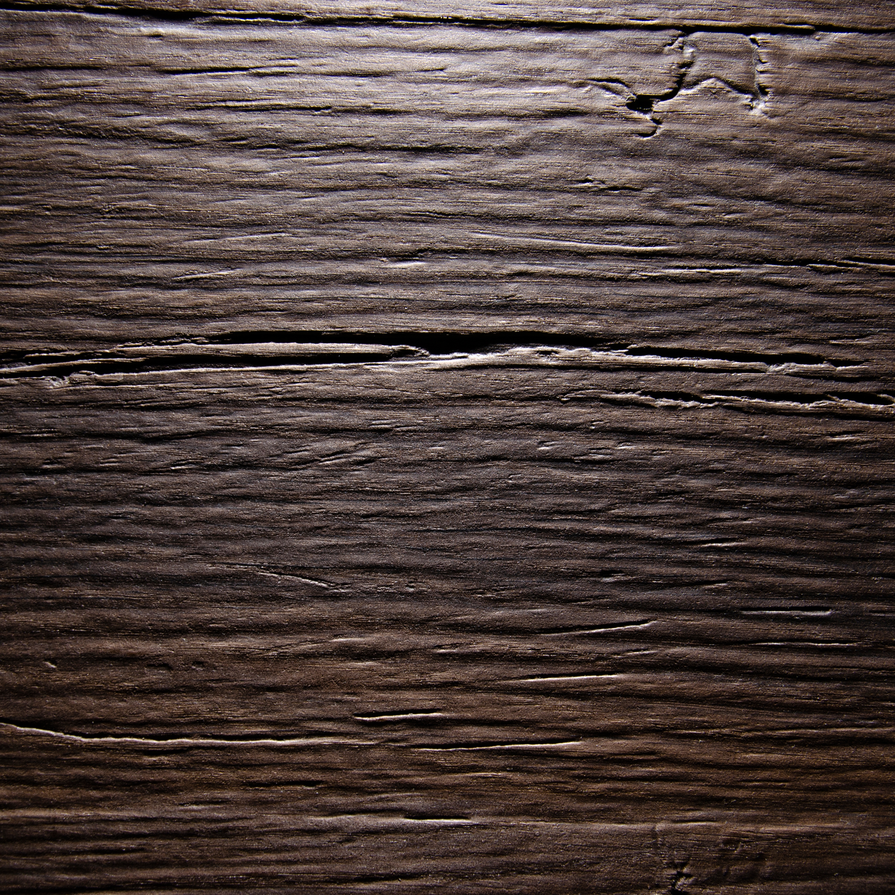 Old Nature Bog Oak