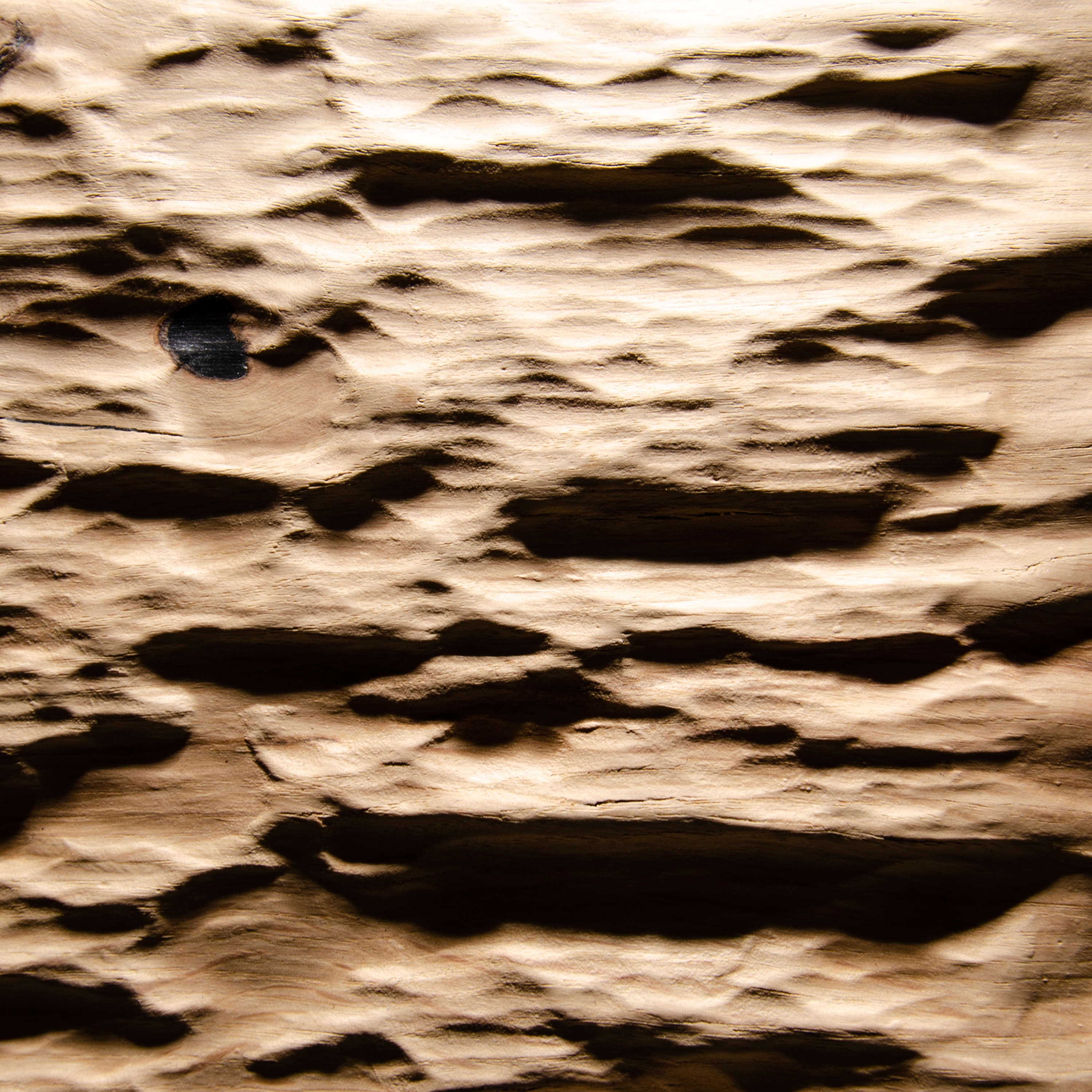 Smooth Bark Oak rustic