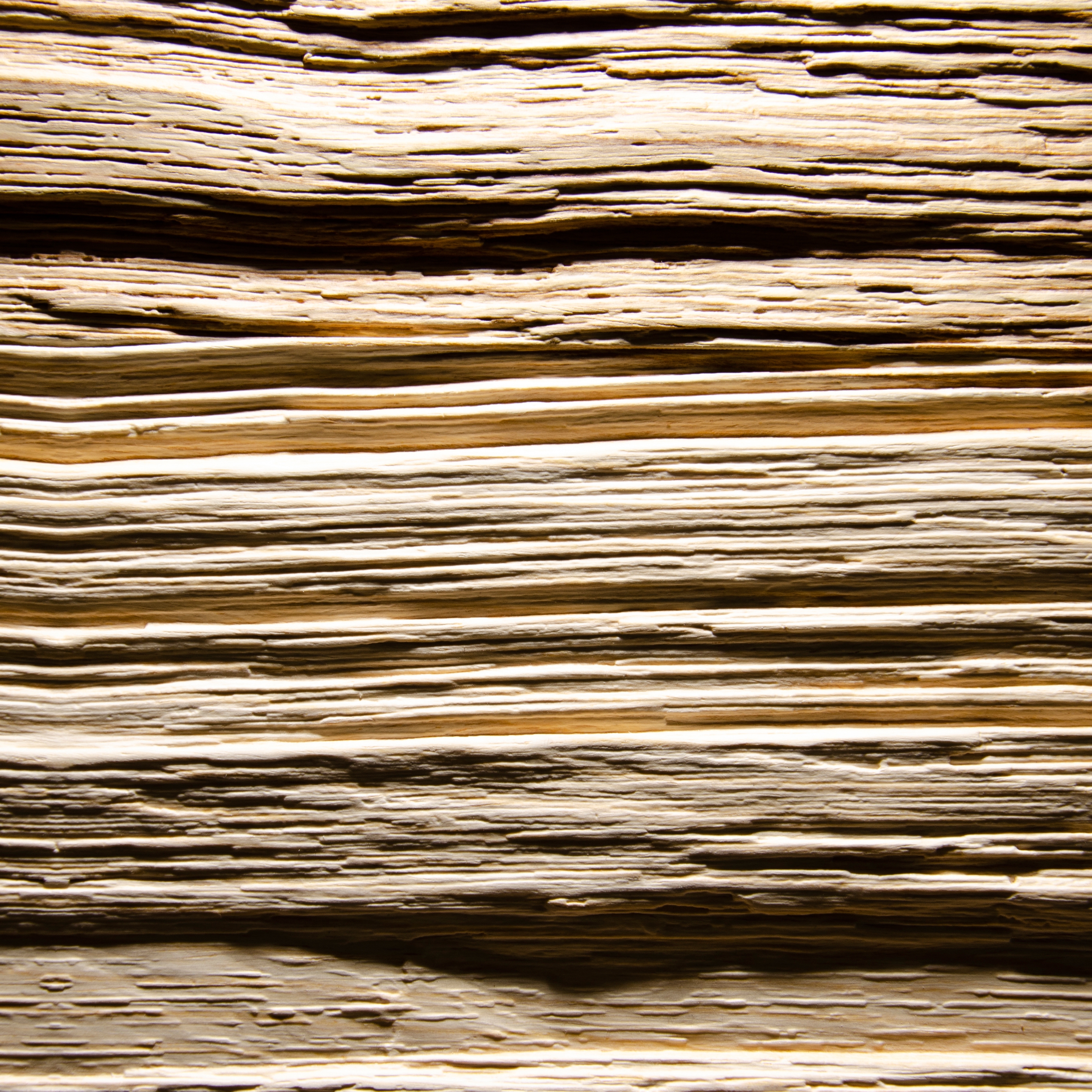 Display product Spalt Fineline Heartwood Ash from manufacturer VD Holz in Form