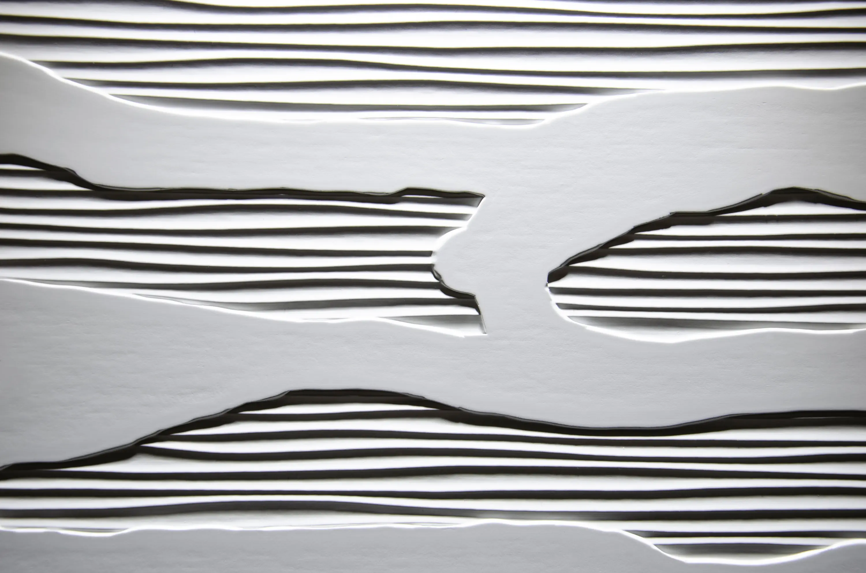 VD Holz in Form - Python Lacquerable Foil