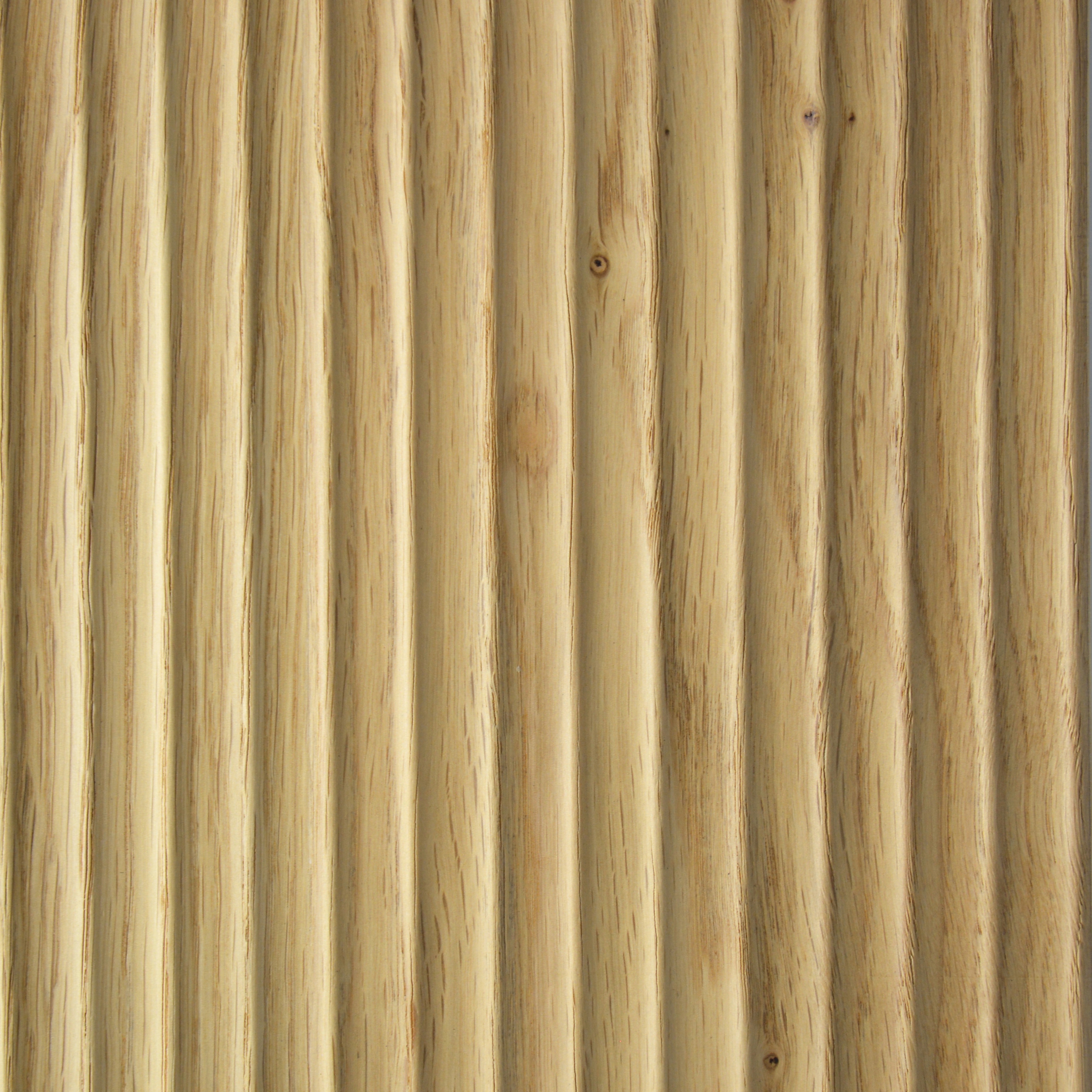 Cave Knob Oak