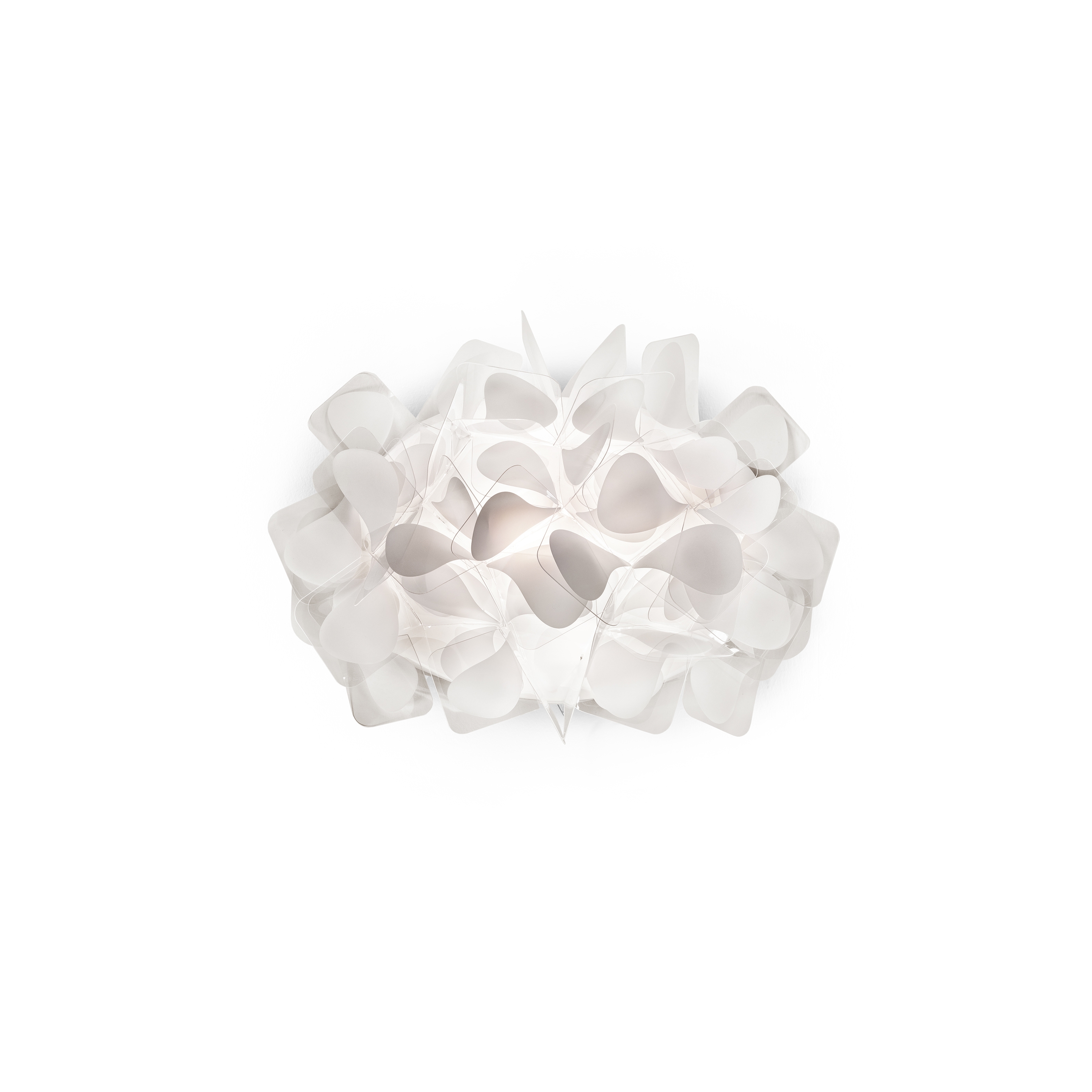 Clizia Applique | Mama Non Mama White