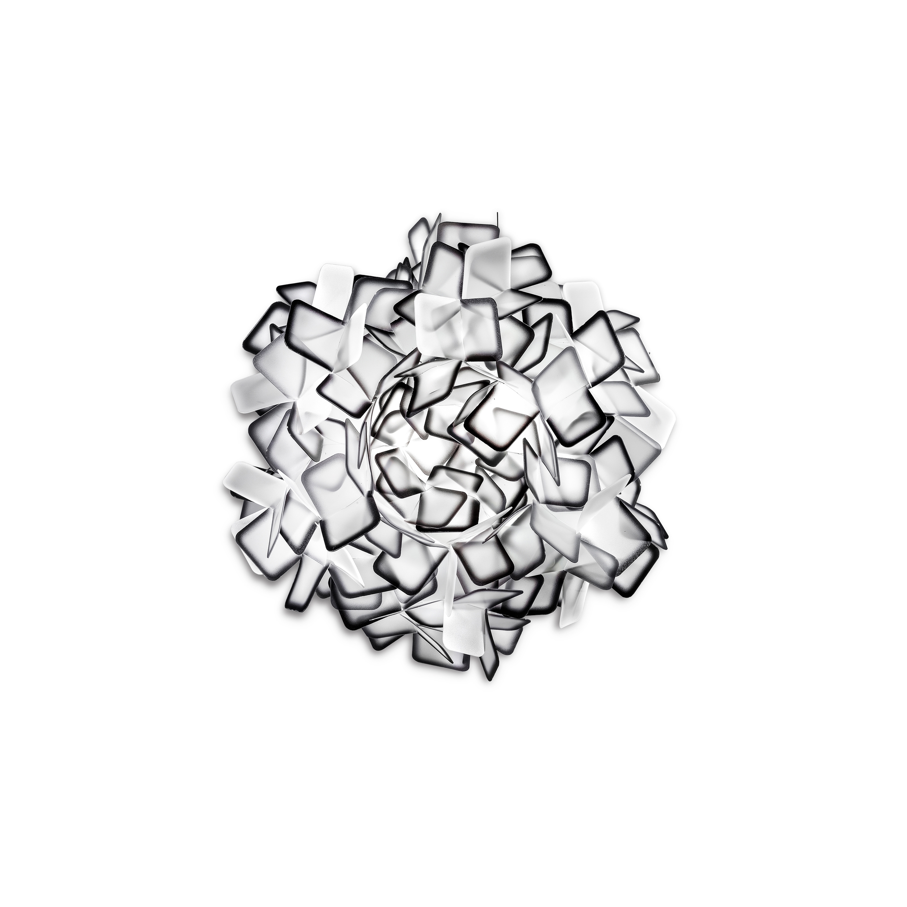 Clizia Ceiling/Wall Medium | Black