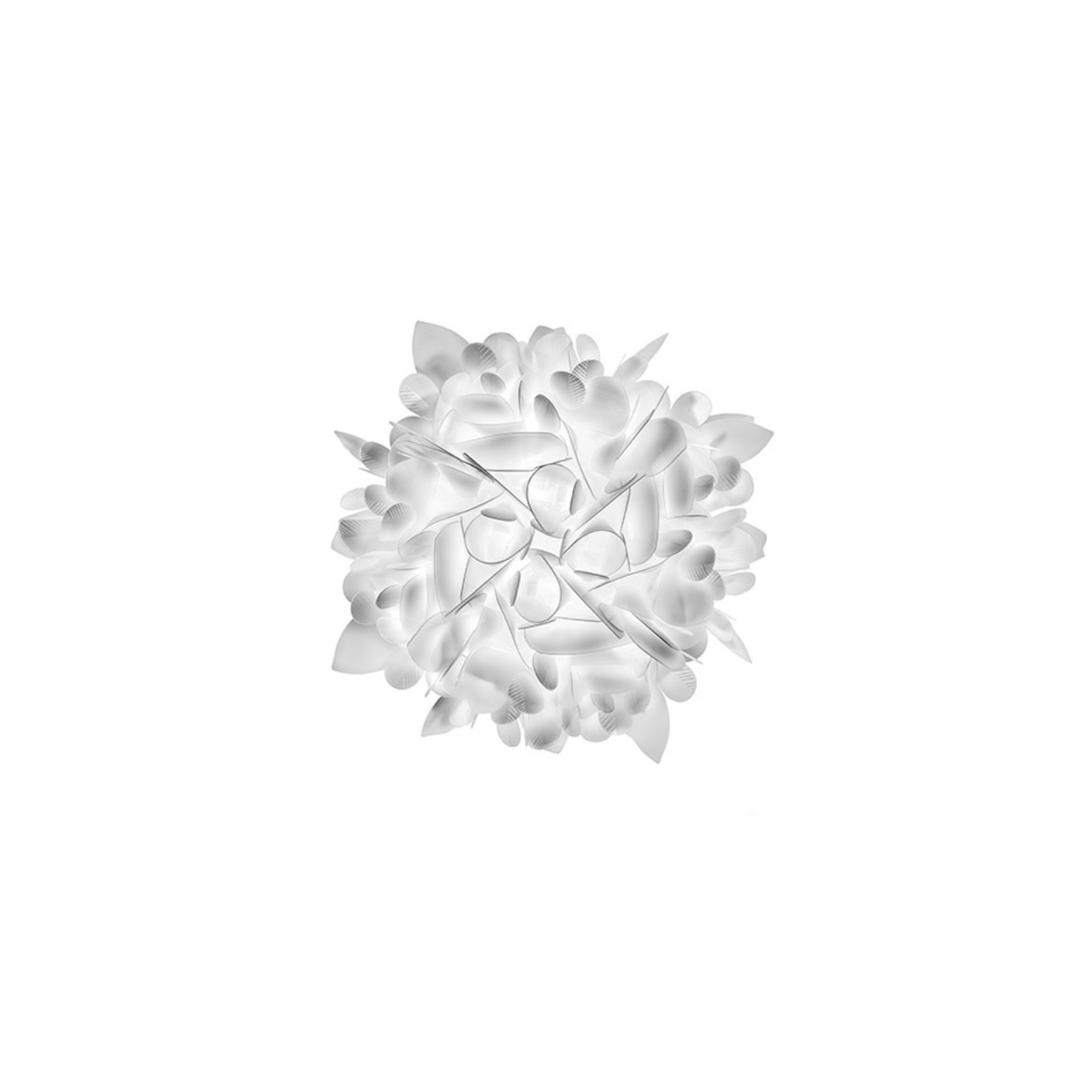 Veli Ceiling/Wall Mini | Foliage
