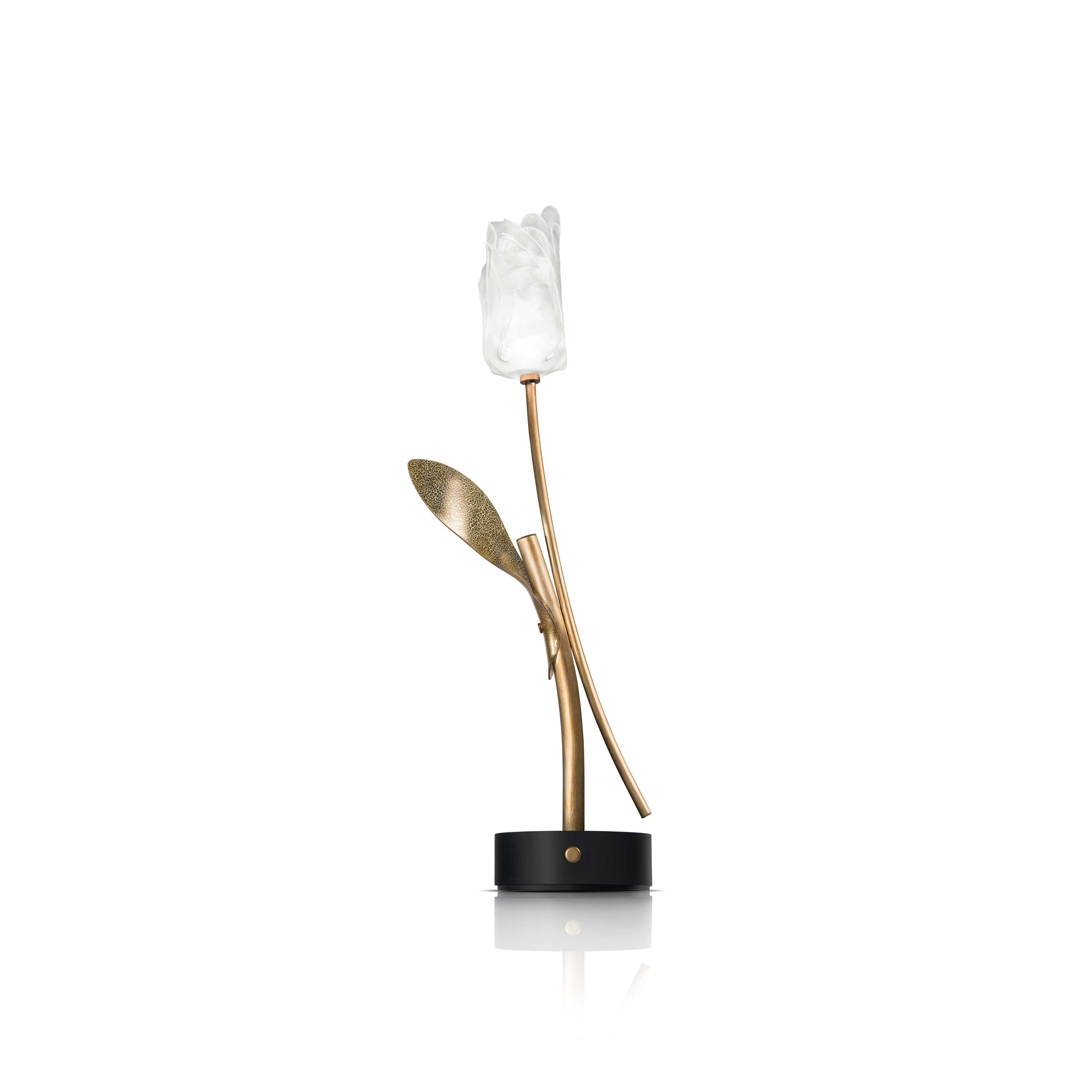 Display product Tulip Battery | Black Base from manufacturer Slamp
