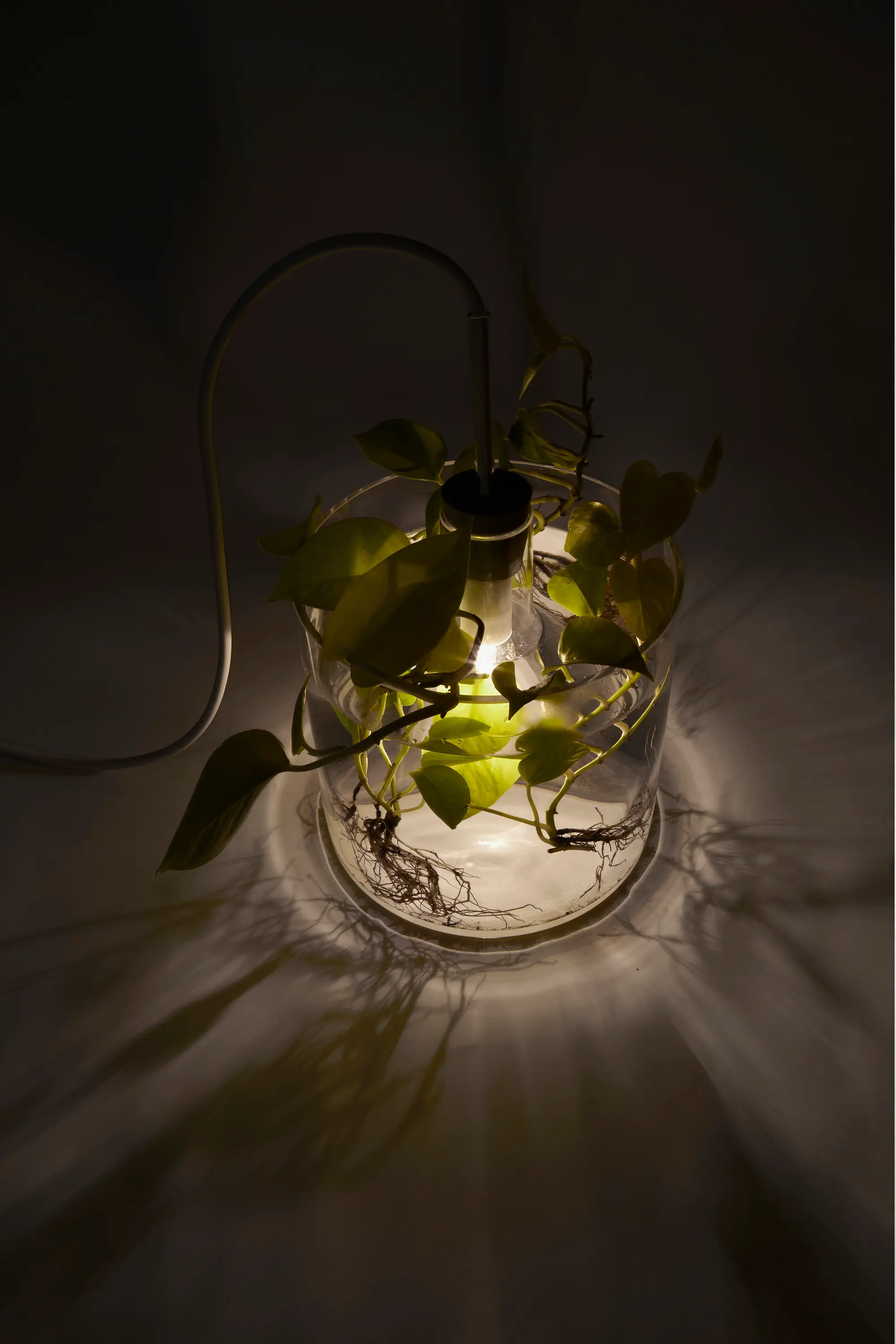 dua - Vase & Leuchte