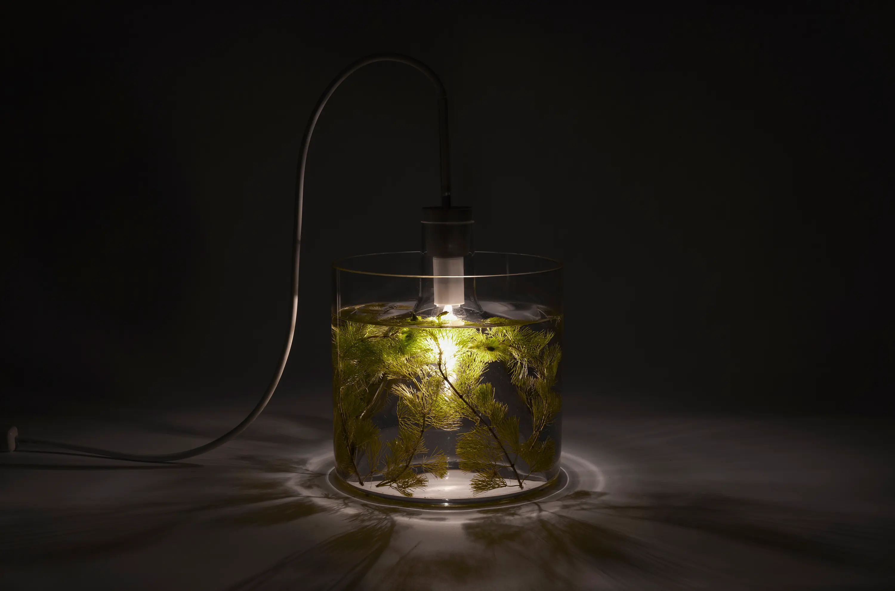 dua - Vase & Leuchte