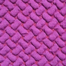 Beans Fuchsia